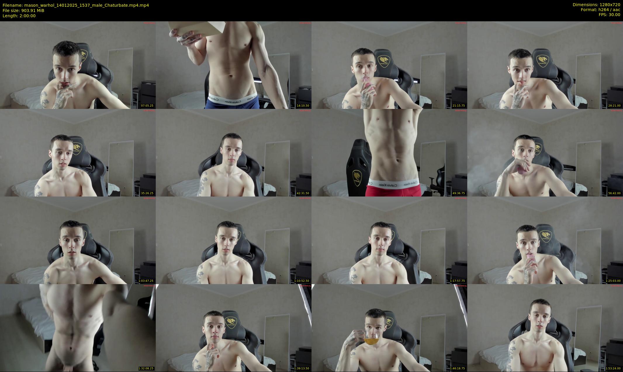 mason_warhol — 120 minute Chaturbate male cam show recording, 720p, Jan 14, 2025