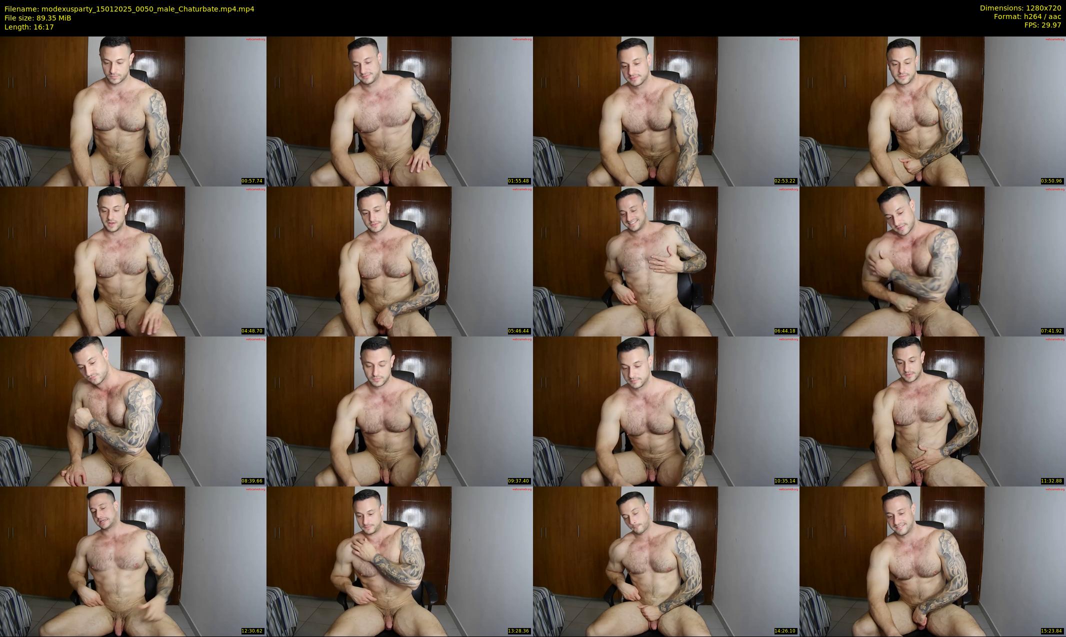 modexusparty — 17 minute Chaturbate male cam show recording, 720p, Jan 15, 2025