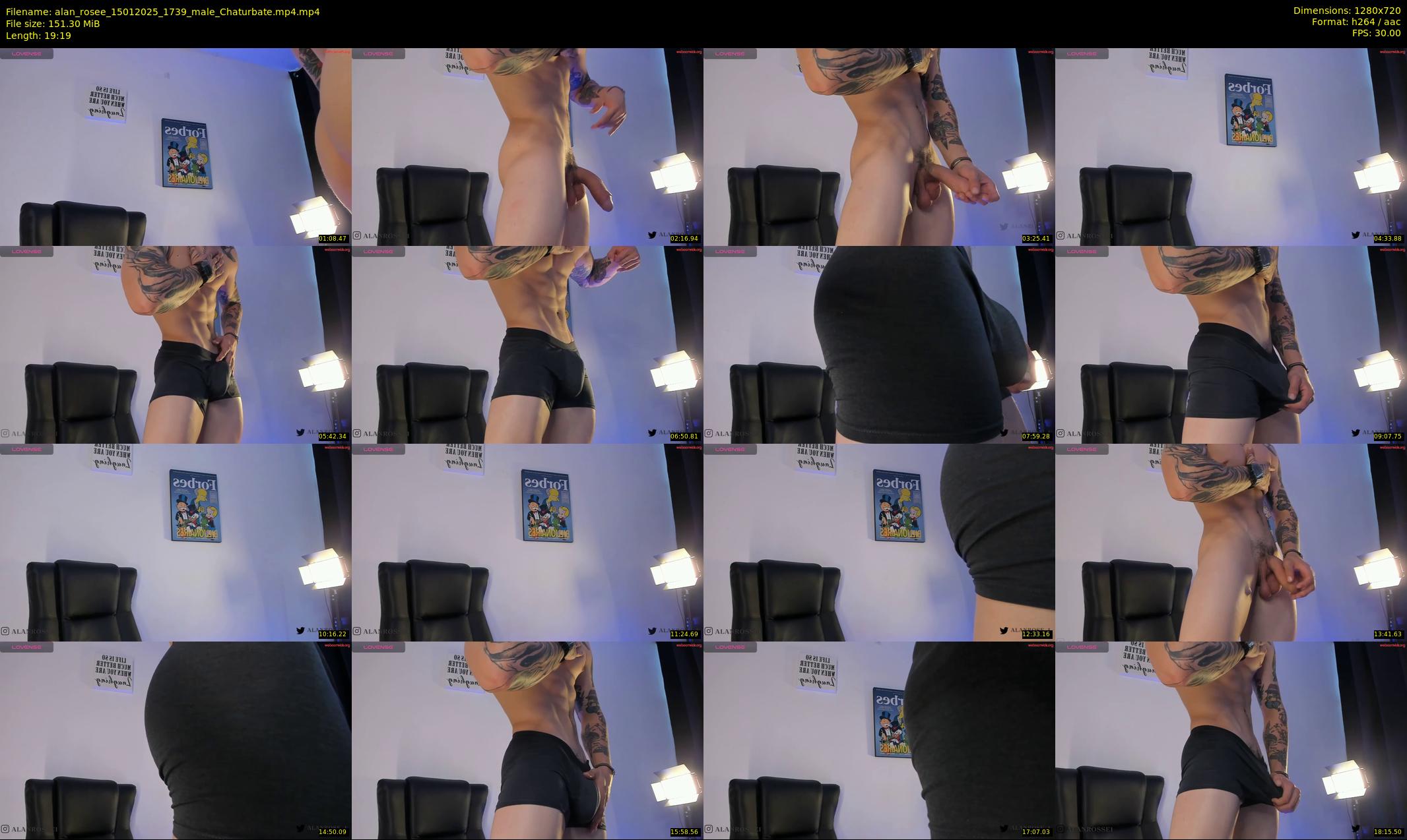 alan_rosee — 20 minute Chaturbate male cam show recording, 720p, Jan 15, 2025