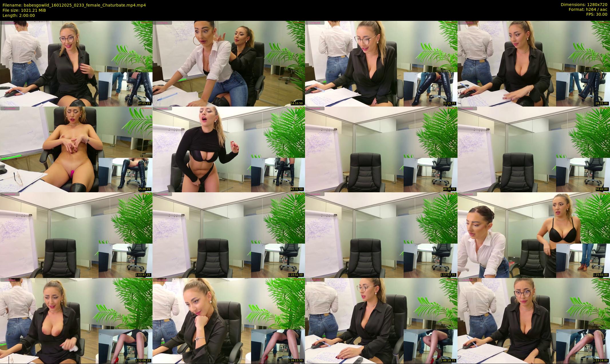 babesgowild — 120 minute Chaturbate couple cam show recording, 720p, Jan 16, 2025