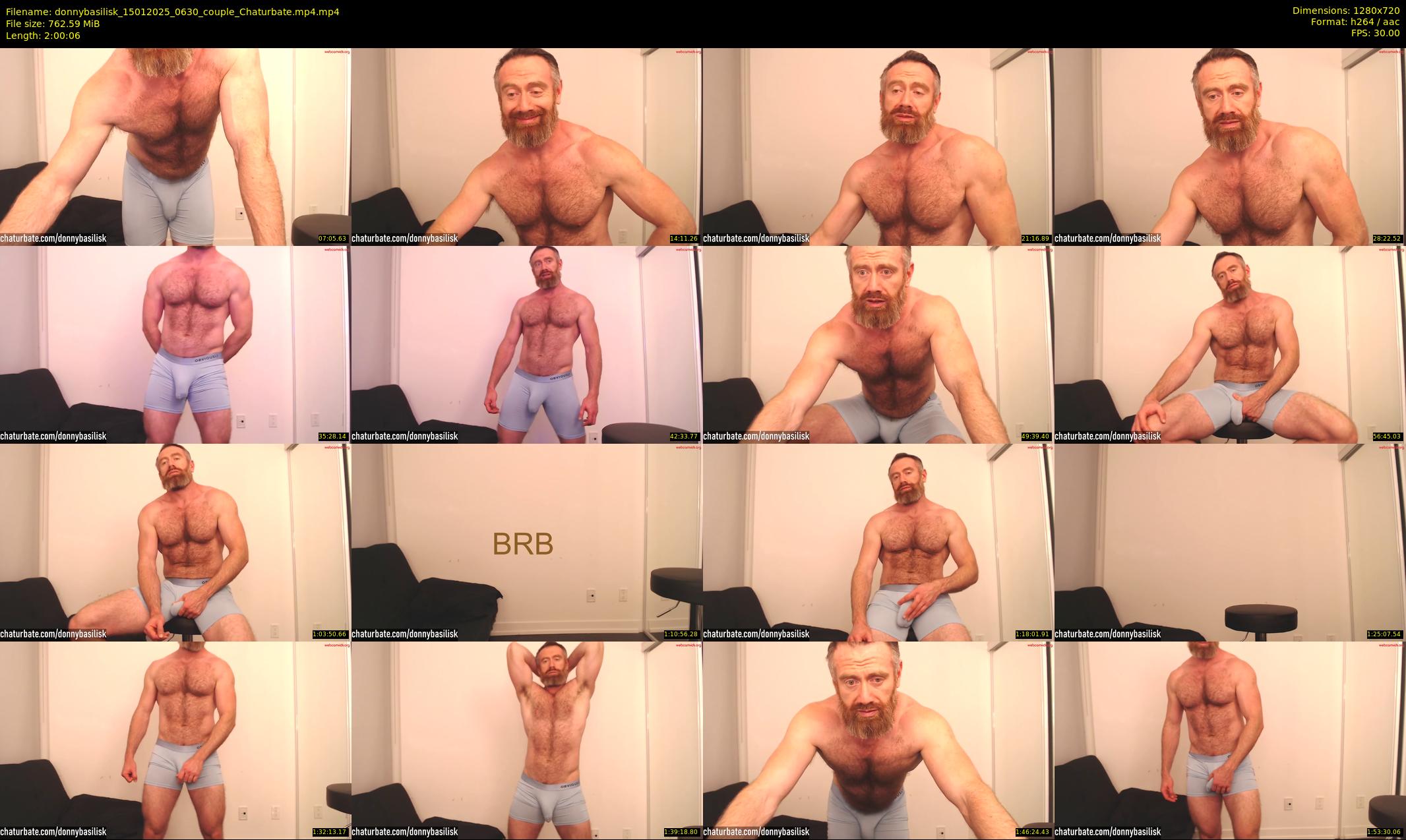 donnybasilisk — 121 minute Chaturbate male cam show recording, 720p, Jan 15, 2025