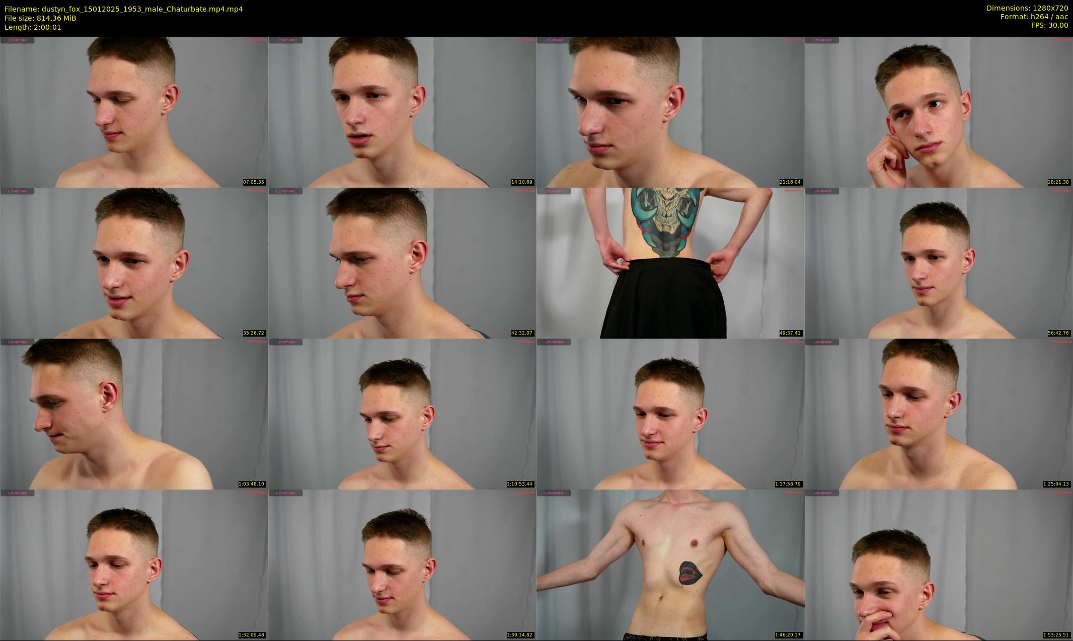 dustyn_fox — 121 minute Chaturbate male cam show recording, 720p, Jan 15, 2025