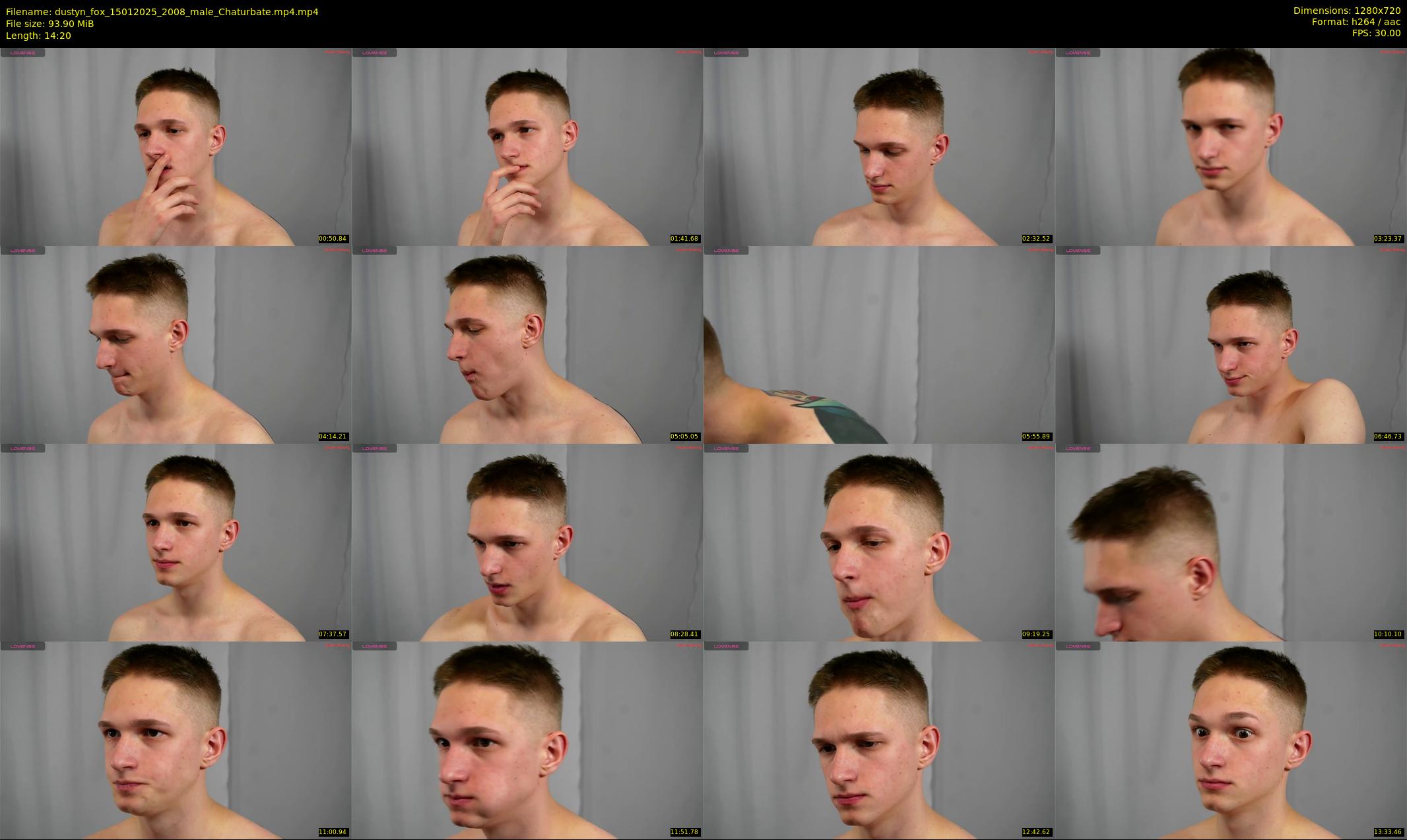 dustyn_fox — 15 minute Chaturbate male cam show recording, 720p, Jan 15, 2025