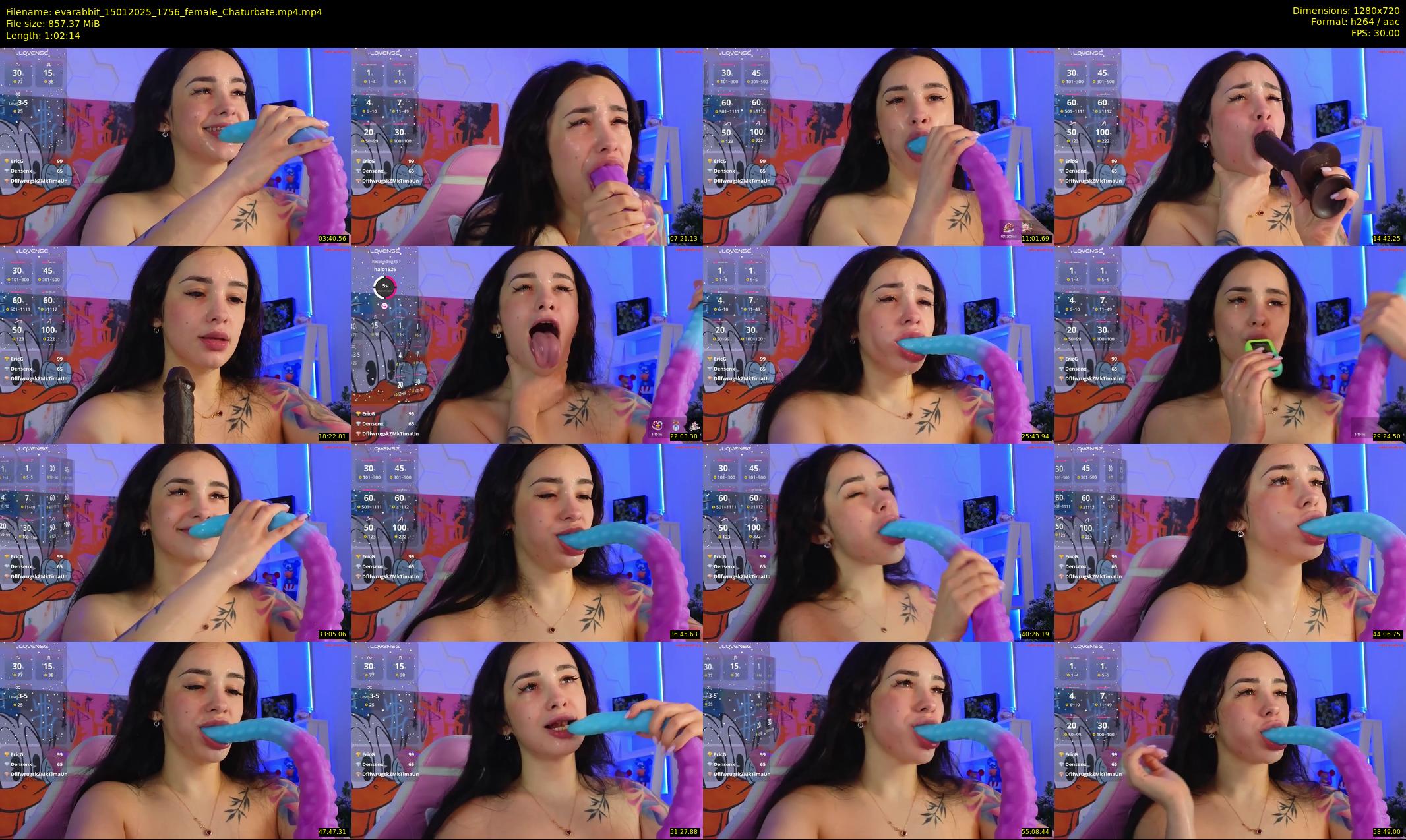evarabbit — 63 minute Chaturbate female cam show recording, 720p, Jan 15, 2025