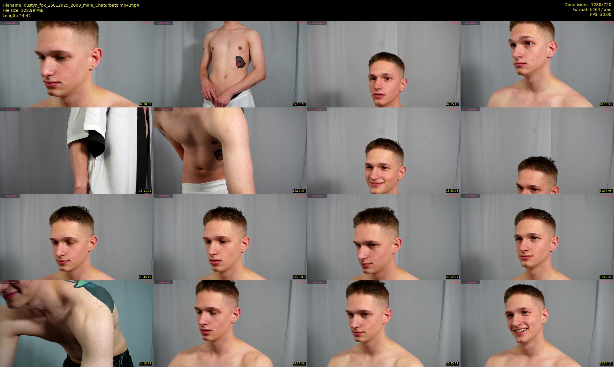 dustyn_fox — 45 minute Chaturbate male cam show recording, 720p, Jan 16, 2025