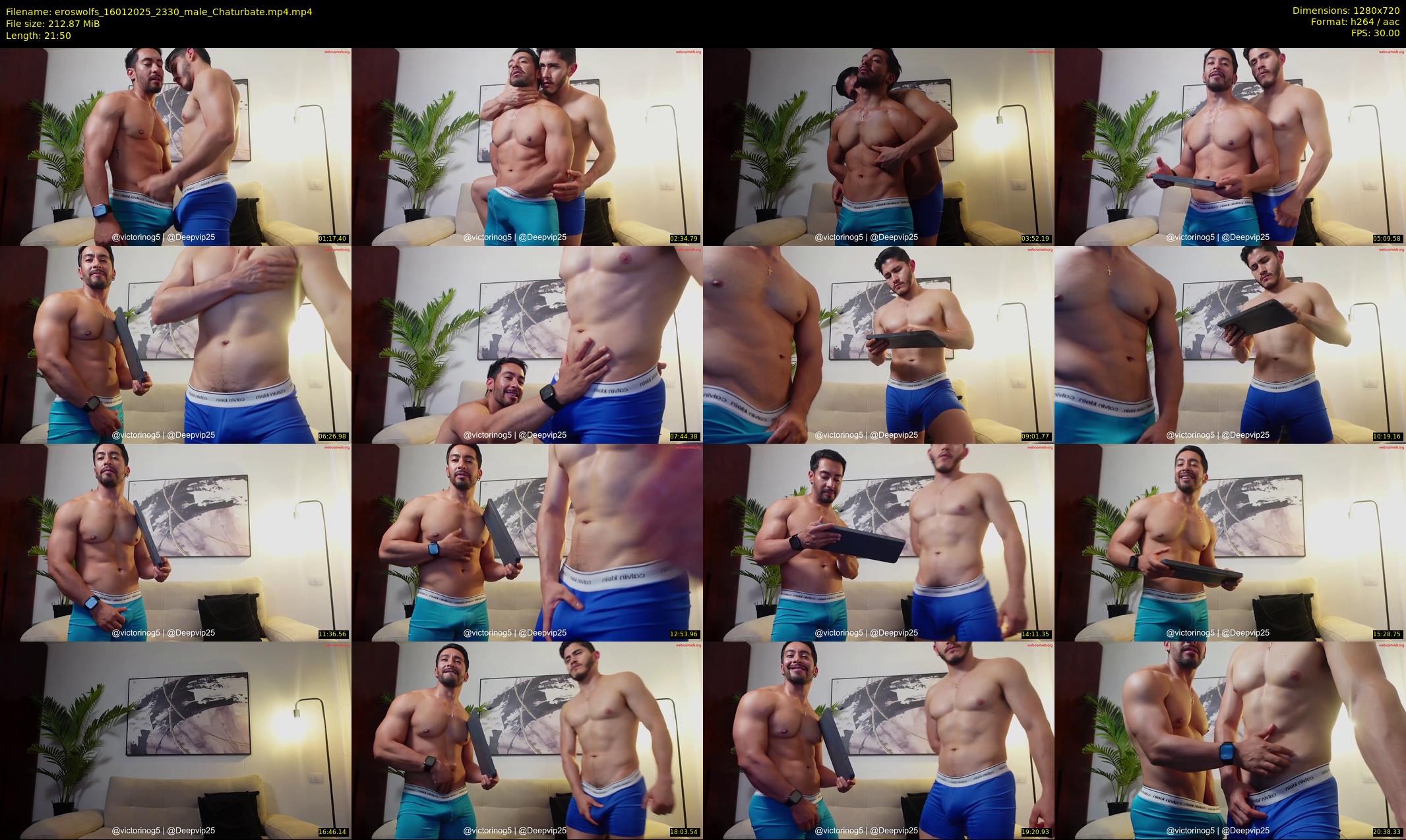 eroswolfs — 22 minute Chaturbate male cam show recording, 720p, Jan 16, 2025