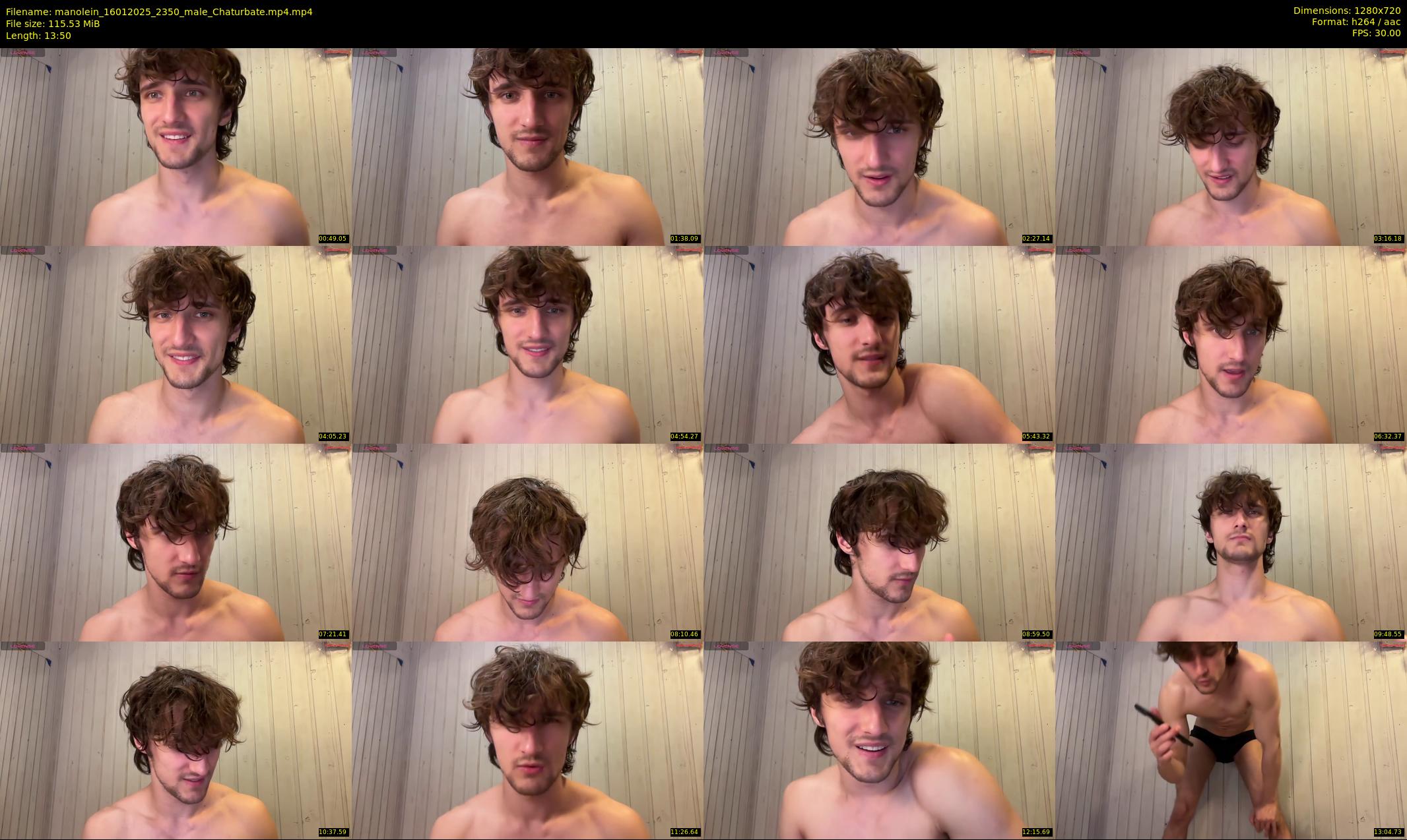 manolein — 14 minute Chaturbate male cam show recording, 720p, Jan 16, 2025