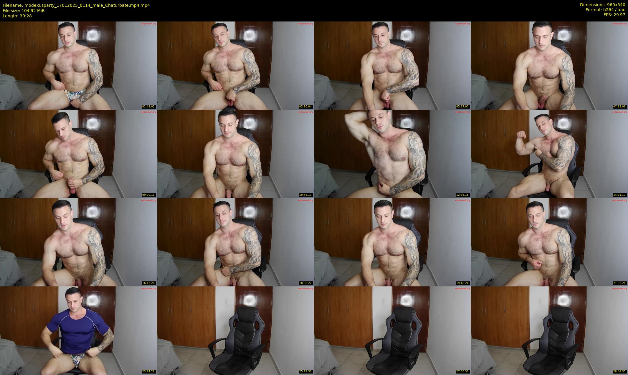 modexusparty — 31 minute Chaturbate male cam show recording, 480p, Jan 17, 2025