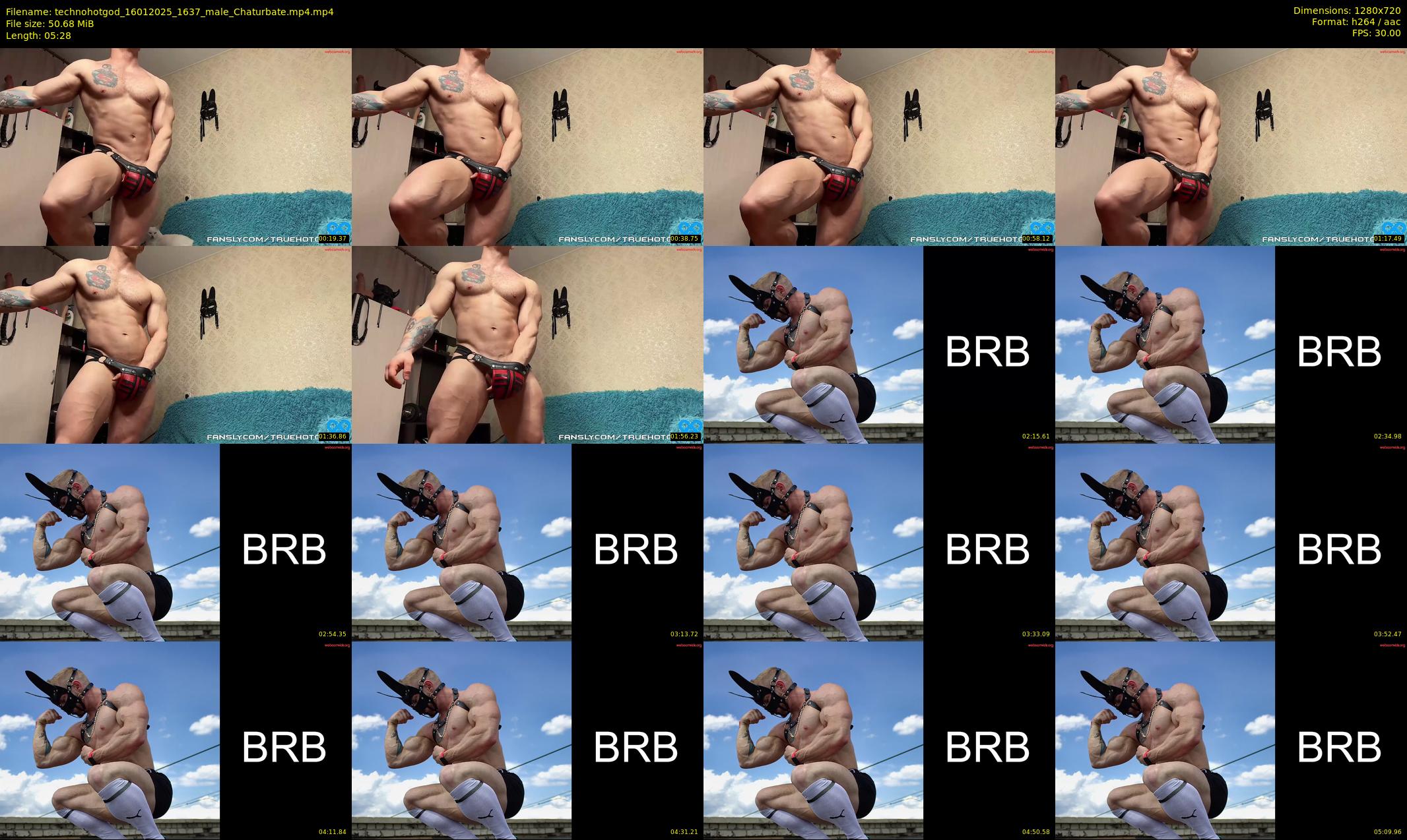 technohotgod — 6 minute Chaturbate male cam show recording, 720p, Jan 16, 2025