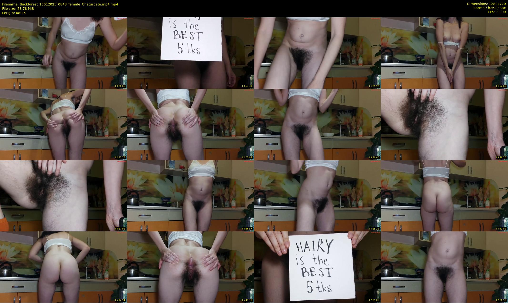 thickforest — 9 minute Chaturbate female cam show recording, 720p, Jan 16, 2025