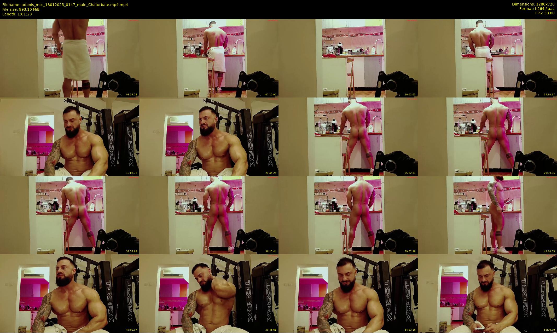 adonis_msc — 62 minute Chaturbate male cam show recording, 720p, Jan 18, 2025