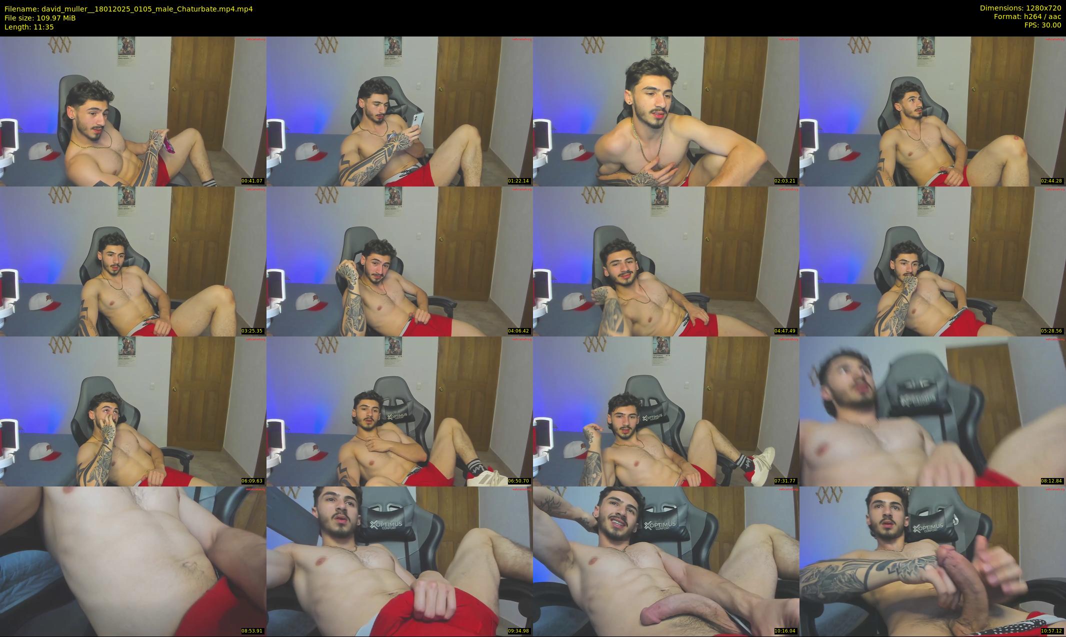 david_muller_ — 12 minute Chaturbate male cam show recording, 720p, Jan 18, 2025