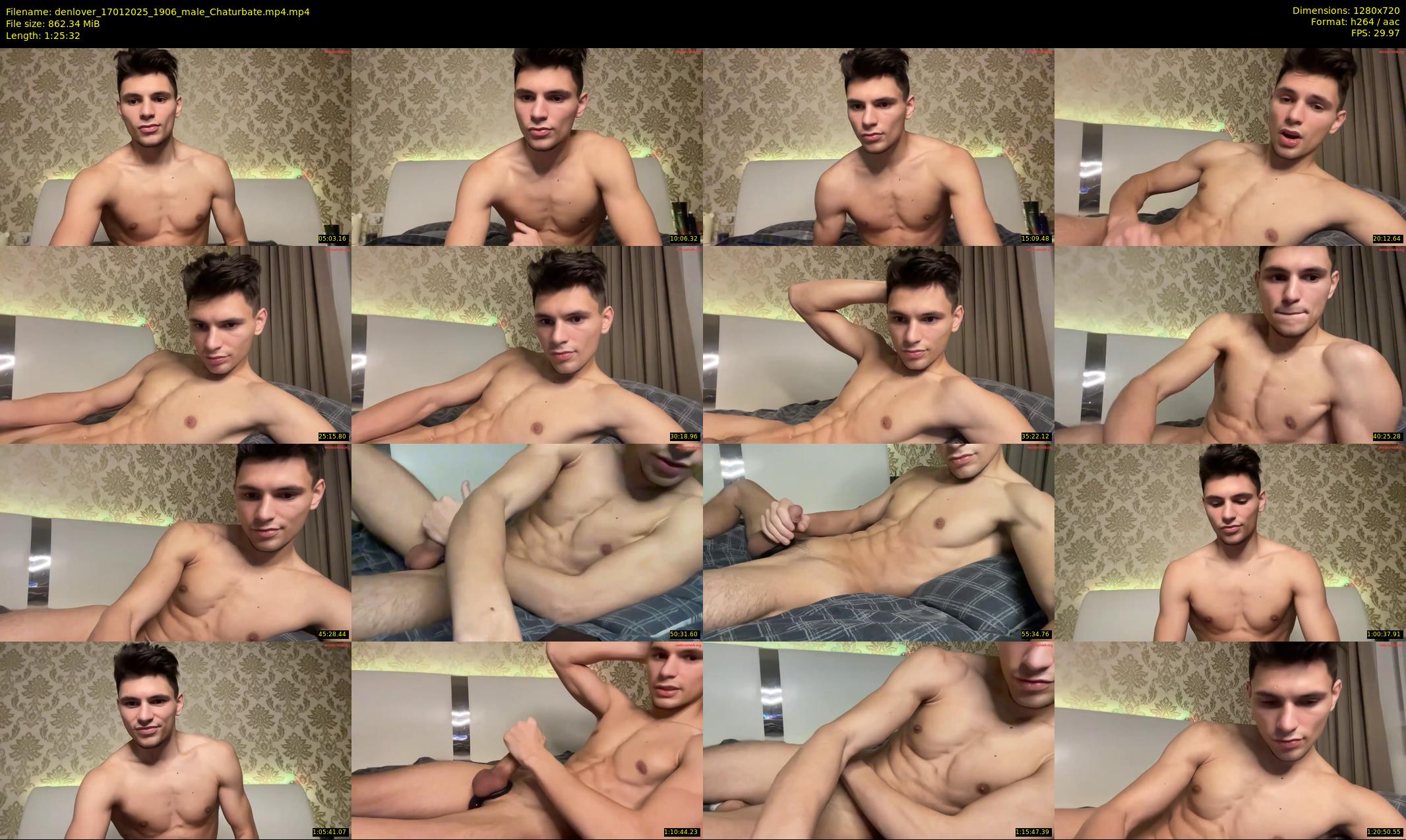 denlover — 86 minute Chaturbate male cam show recording, 720p, Jan 17, 2025