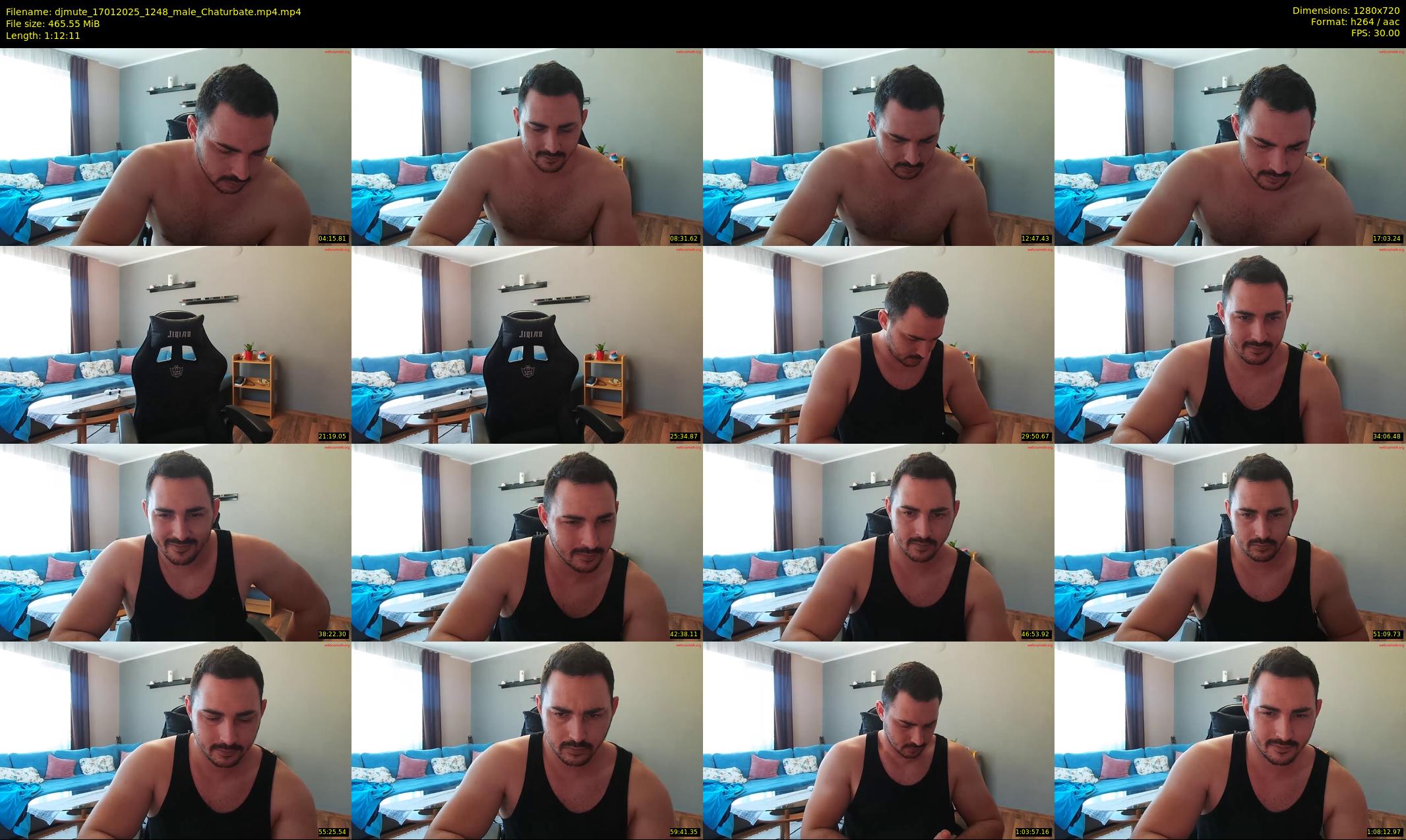 djmute — 73 minute Chaturbate male cam show recording, 720p, Jan 17, 2025