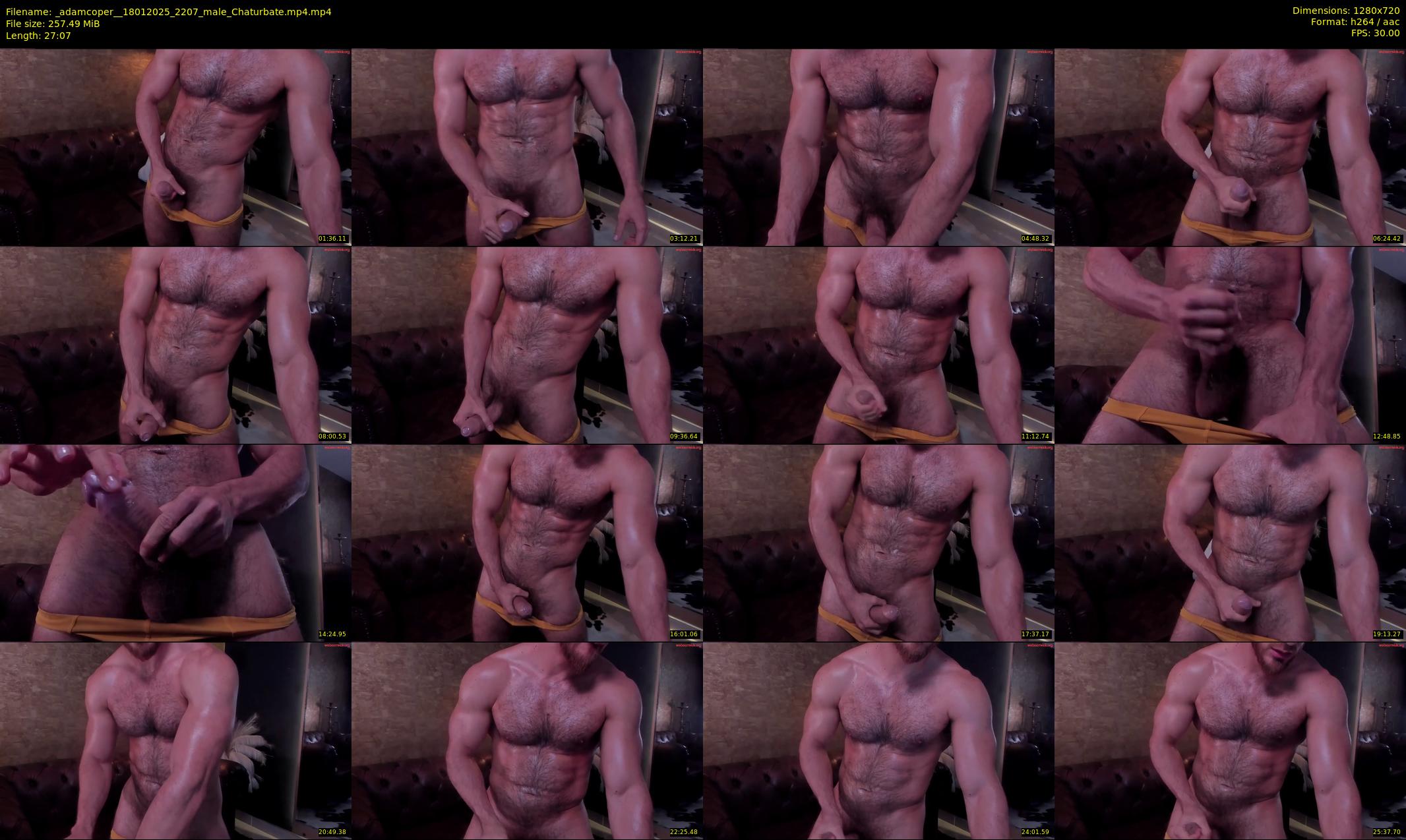 _adamcoper_ — 28 minute Chaturbate male cam show recording, 720p, Jan 18, 2025