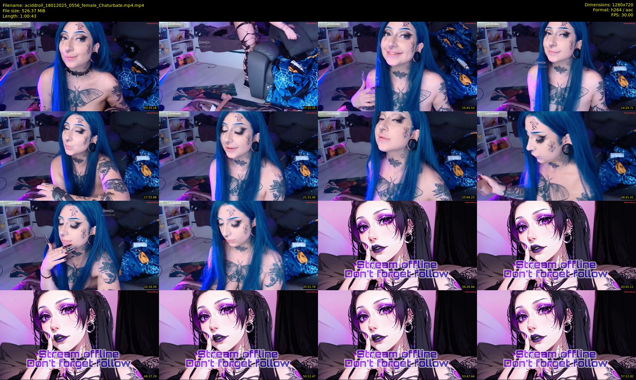 aciddroll — 61 minute Chaturbate female cam show recording, 720p, Jan 18, 2025