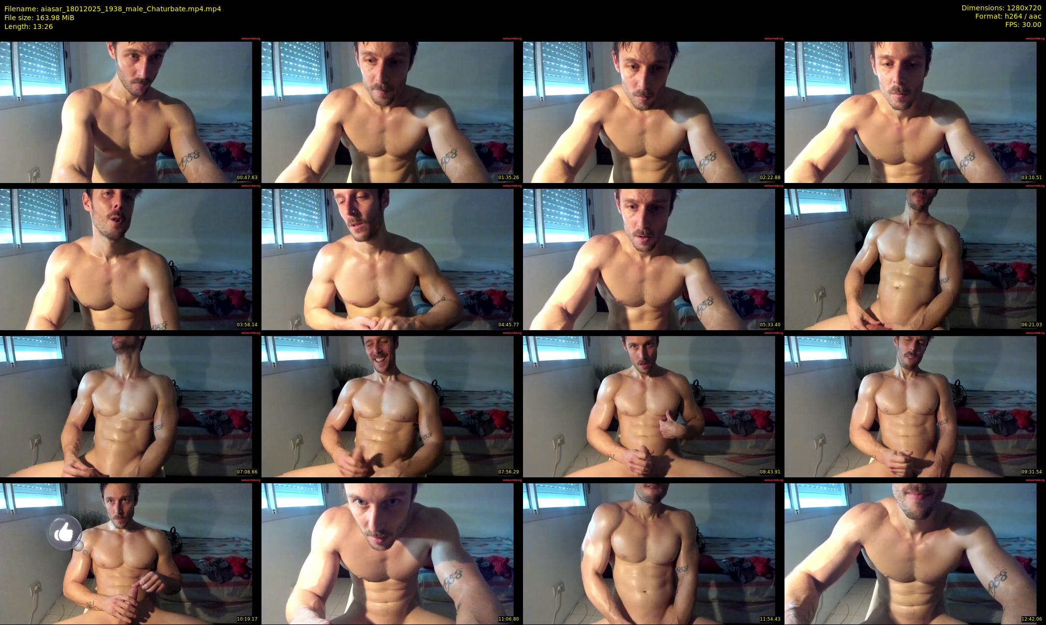 aiasar — 14 minute Chaturbate male cam show recording, 720p, Jan 18, 2025