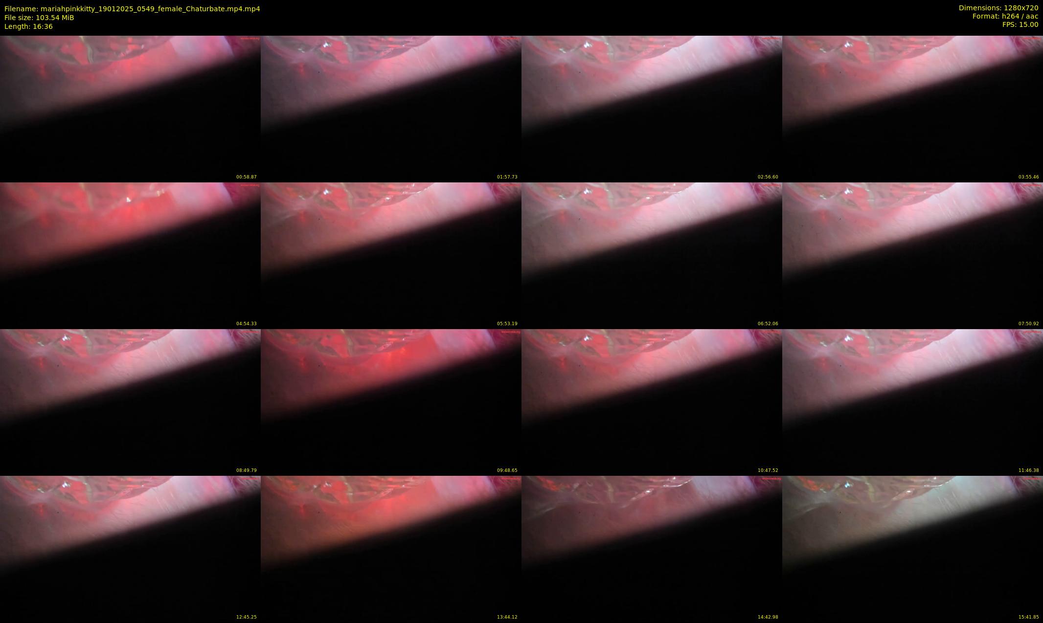 mariahpinkkitty — 17 minute Chaturbate female cam show recording, 720p, Jan 19, 2025
