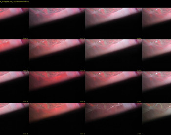 mariahpinkkitty — 17 minute Chaturbate female cam show recording, 720p, Jan 19, 2025