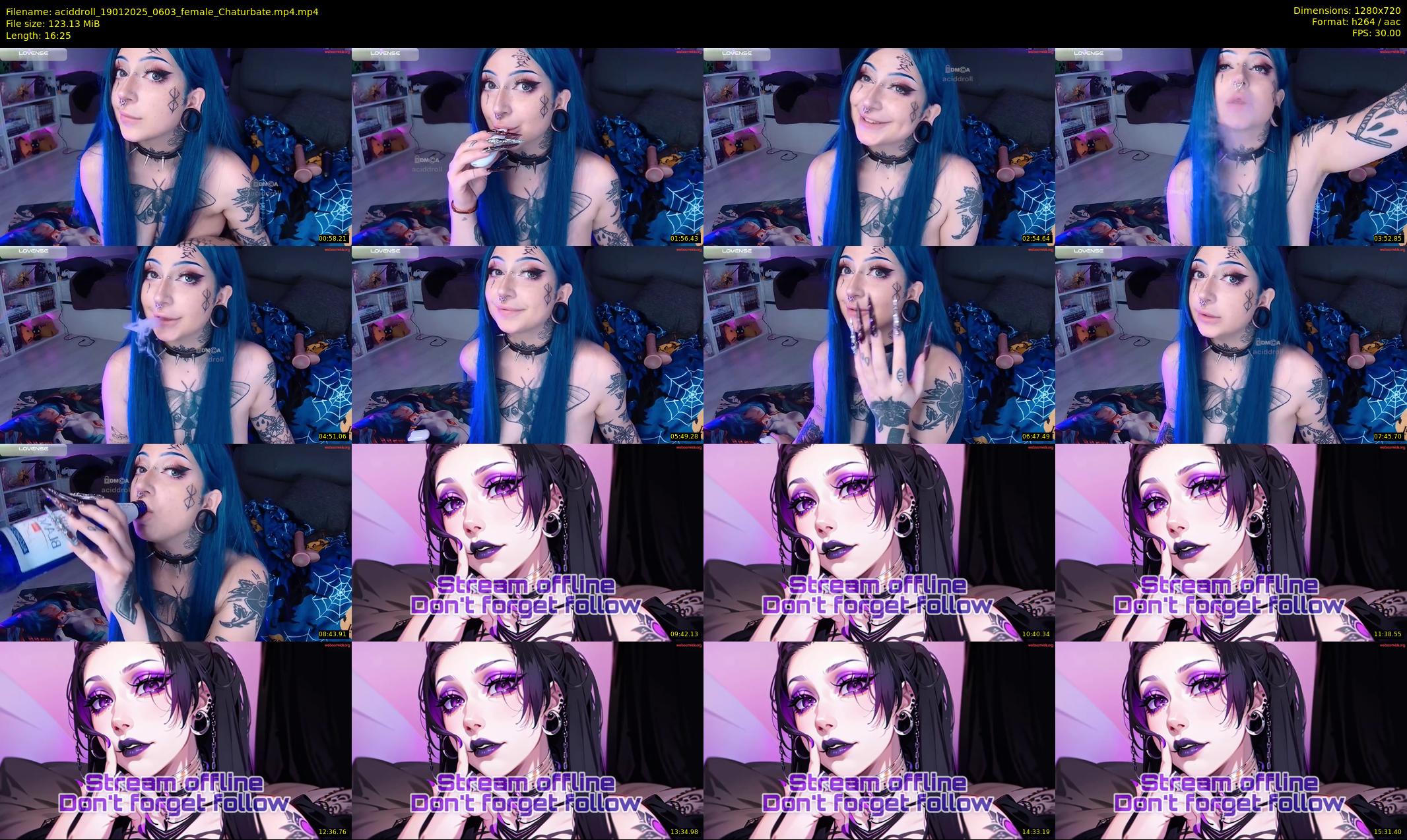 aciddroll — 17 minute Chaturbate female cam show recording, 720p, Jan 19, 2025