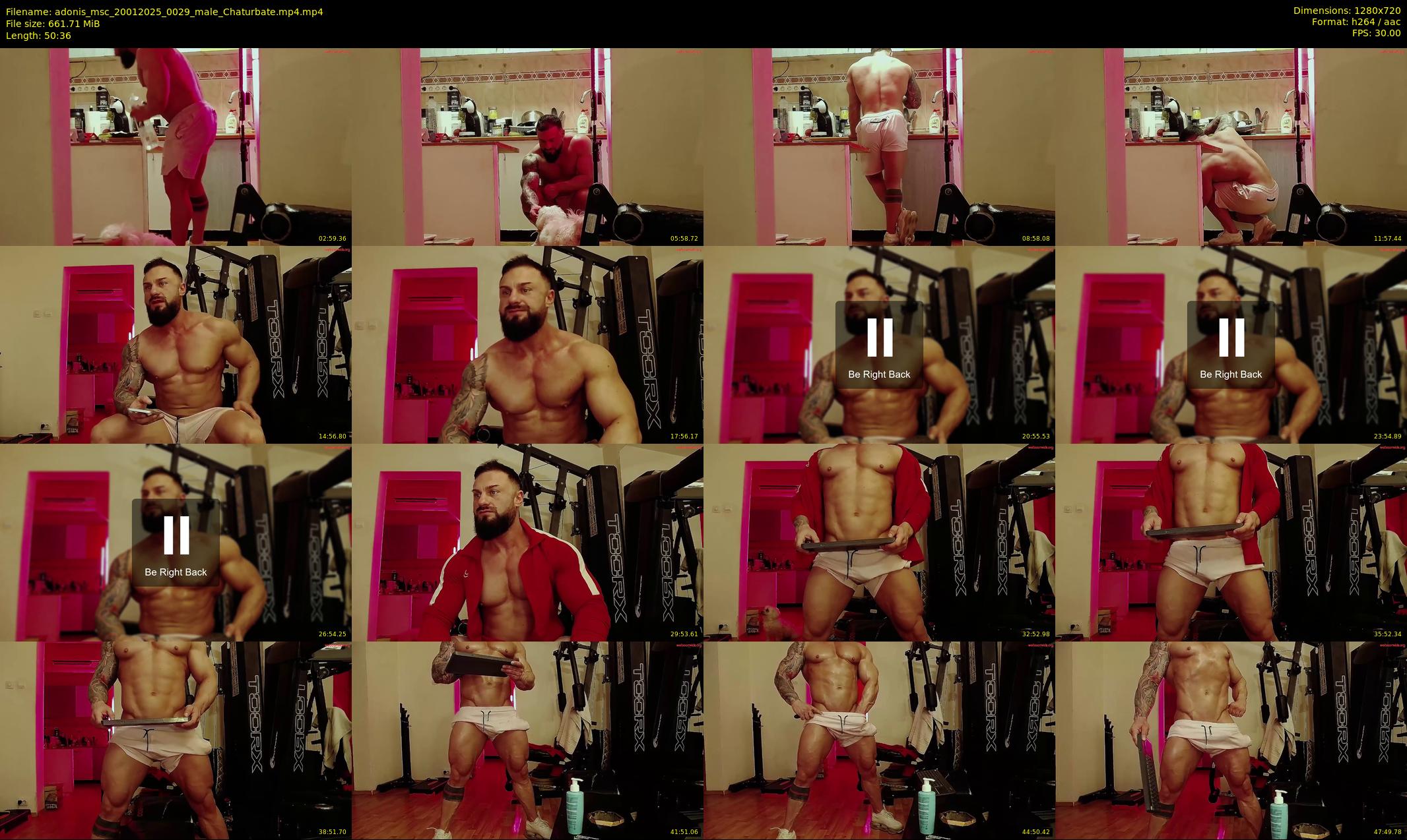 adonis_msc — 51 minute Chaturbate male cam show recording, 720p, Jan 20, 2025