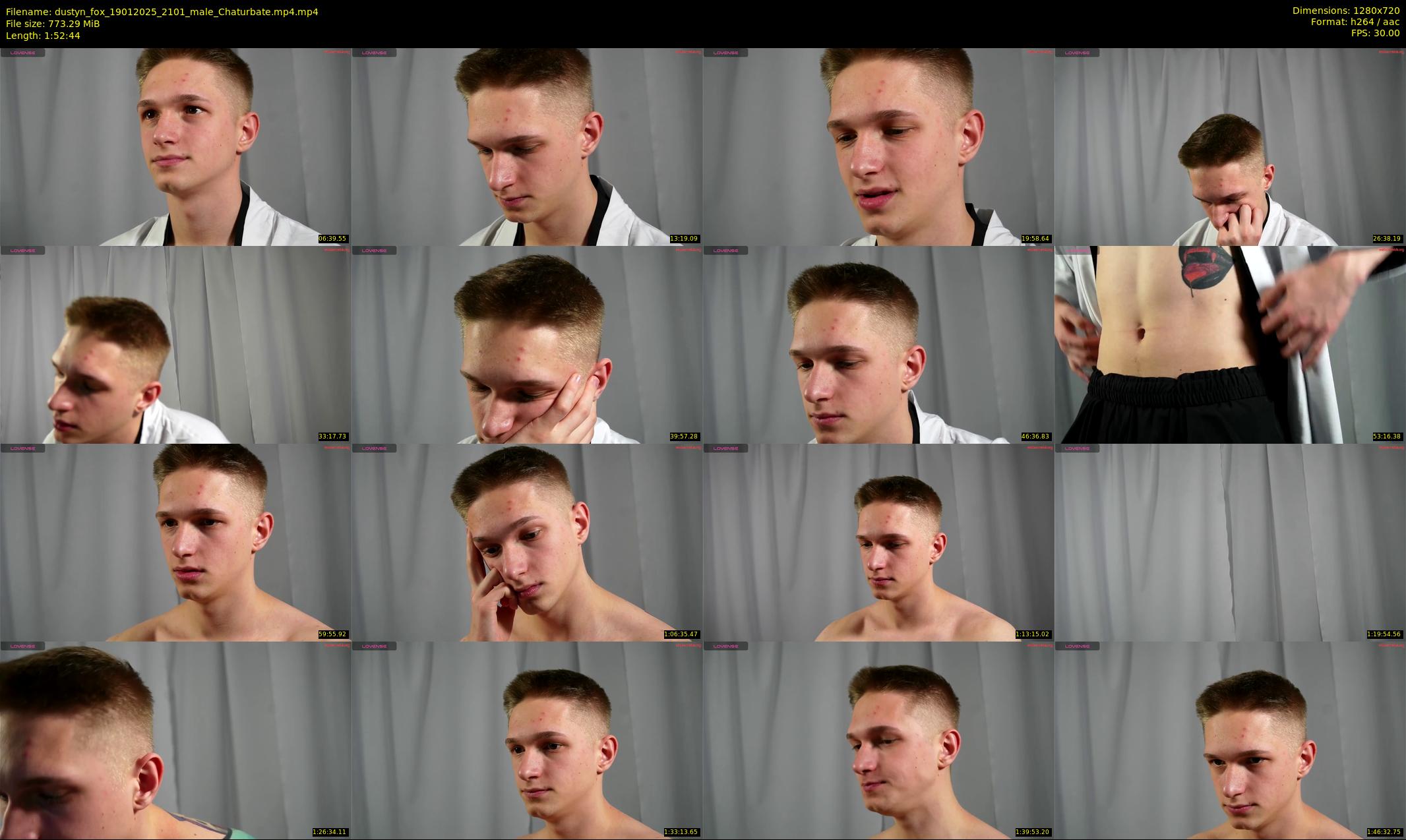 dustyn_fox — 113 minute Chaturbate male cam show recording, 720p, Jan 19, 2025