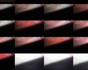 mariahpinkkitty — 11 minute Chaturbate female cam show recording, 720p, Jan 19, 2025