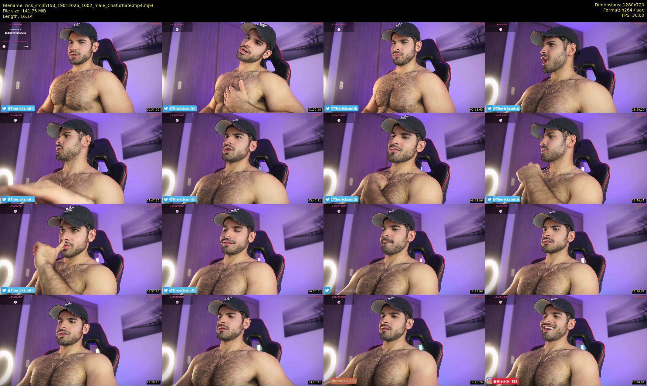 rick_smith153 — 17 minute Chaturbate male cam show recording, 720p, Jan 19, 2025