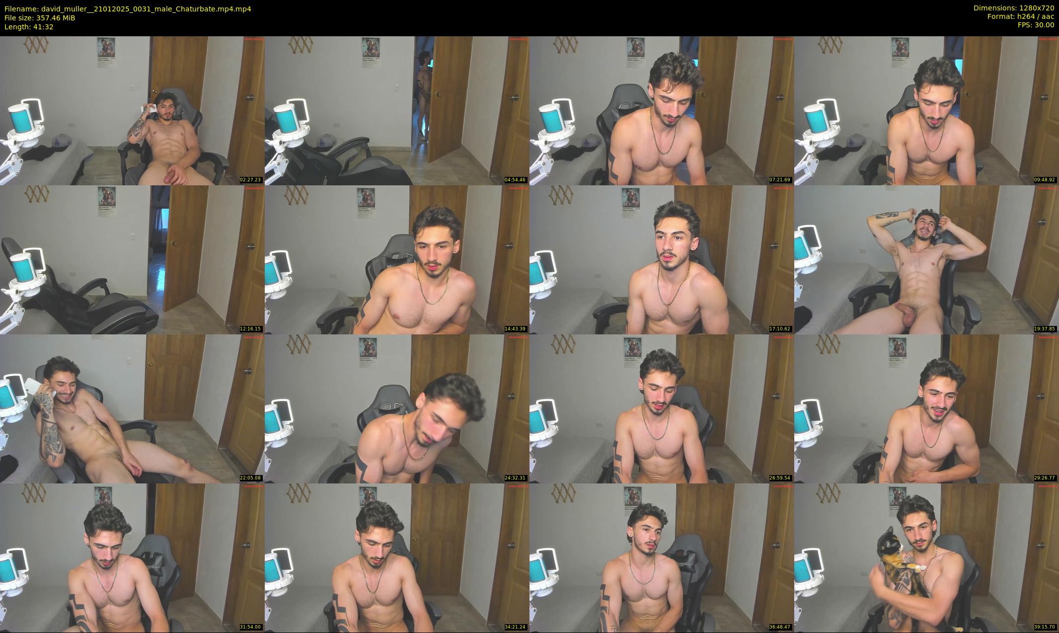 david_muller_ — 42 minute Chaturbate male cam show recording, 720p, Jan 21, 2025