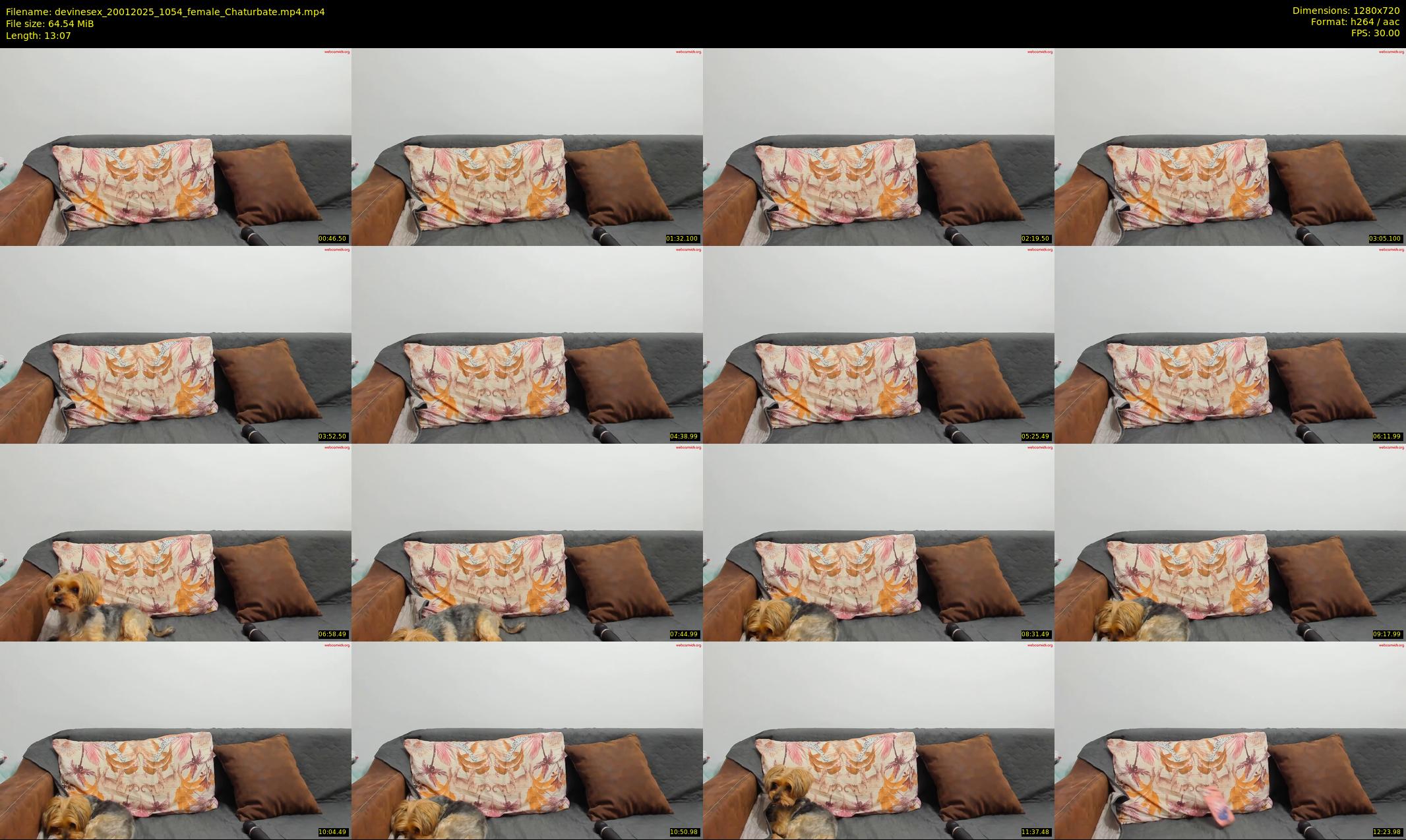 devinesex — 14 minute Chaturbate female cam show recording, 720p, Jan 20, 2025