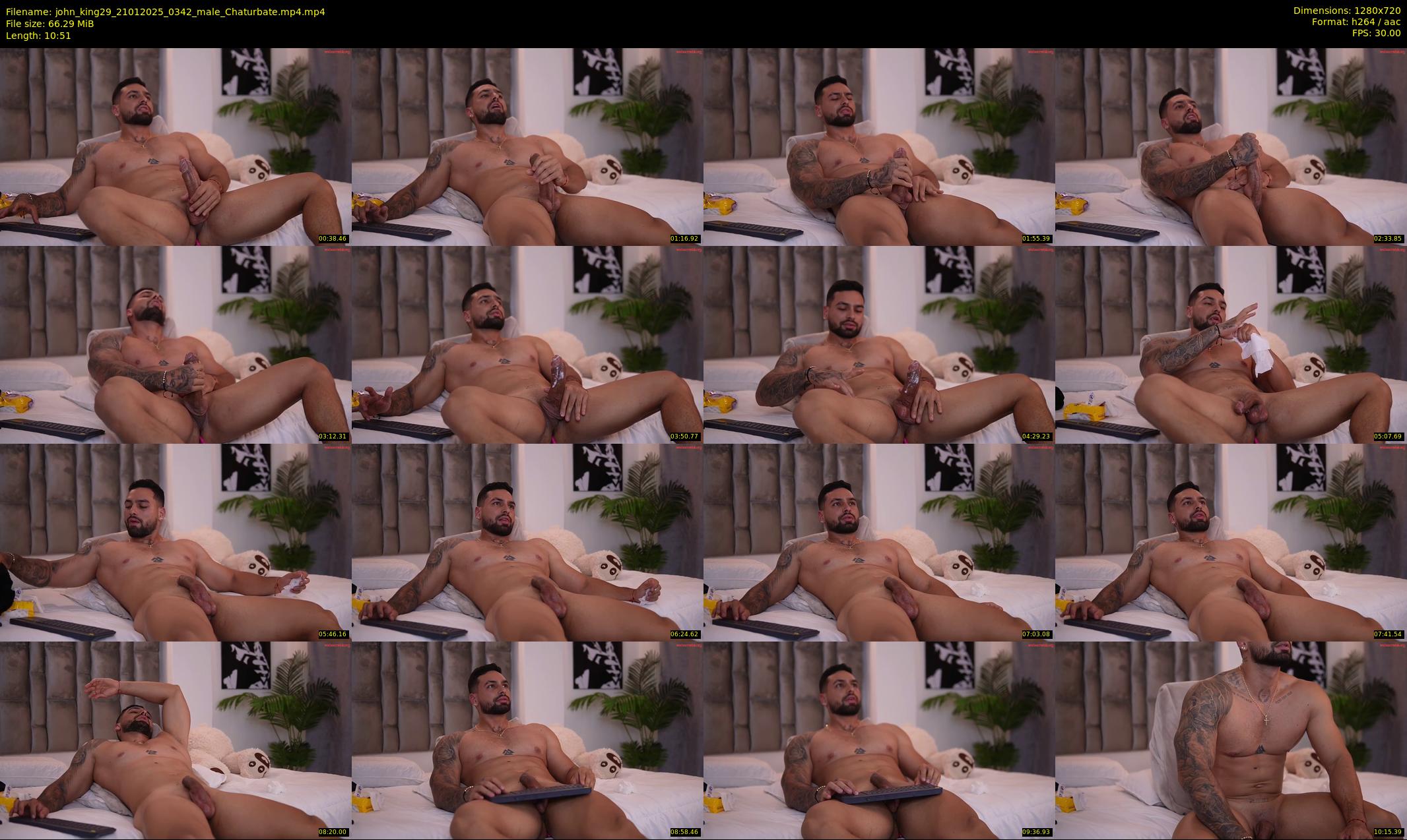 john_king29 — 11 minute Chaturbate male cam show recording, 720p, Jan 21, 2025