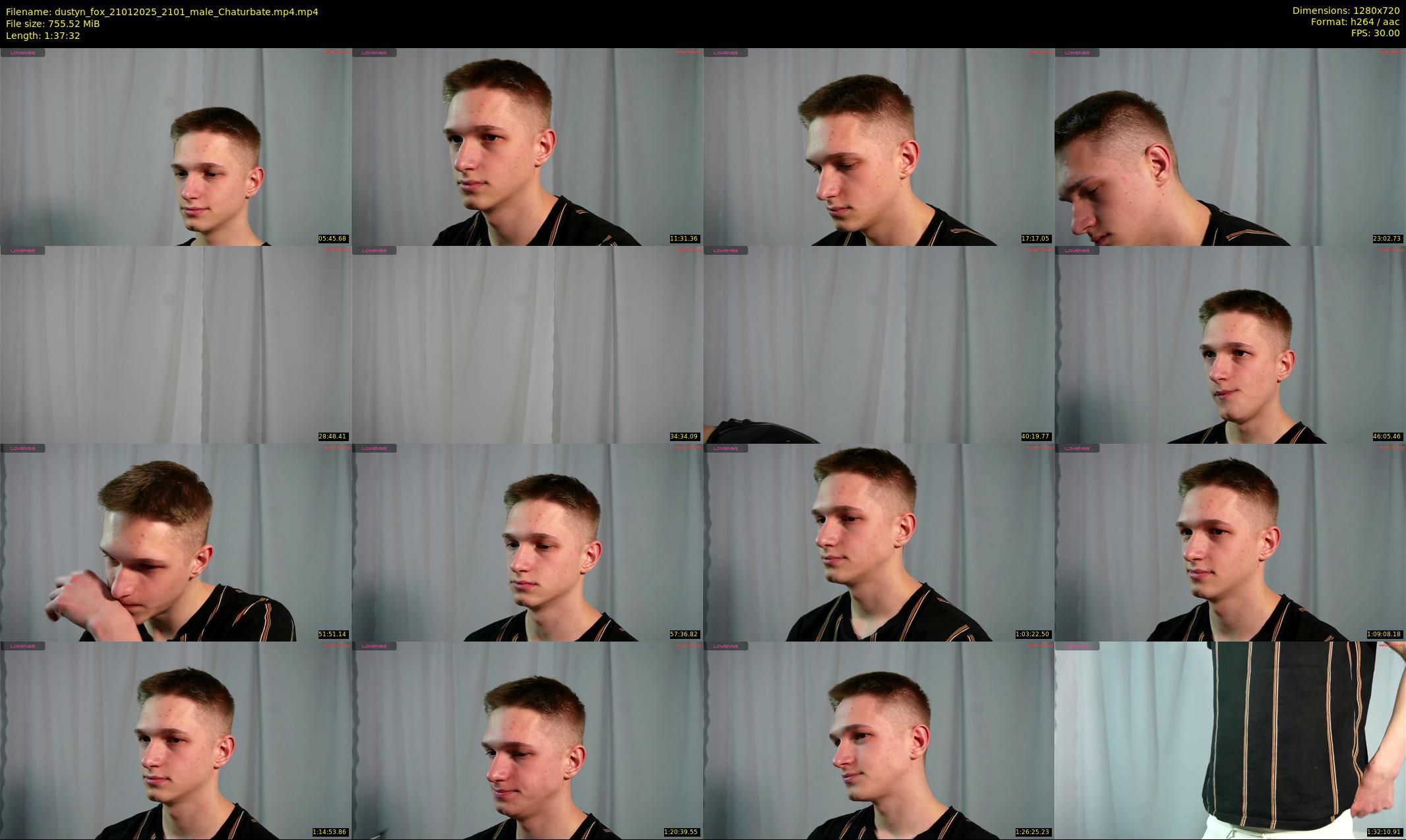 dustyn_fox — 98 minute Chaturbate male cam show recording, 720p, Jan 21, 2025