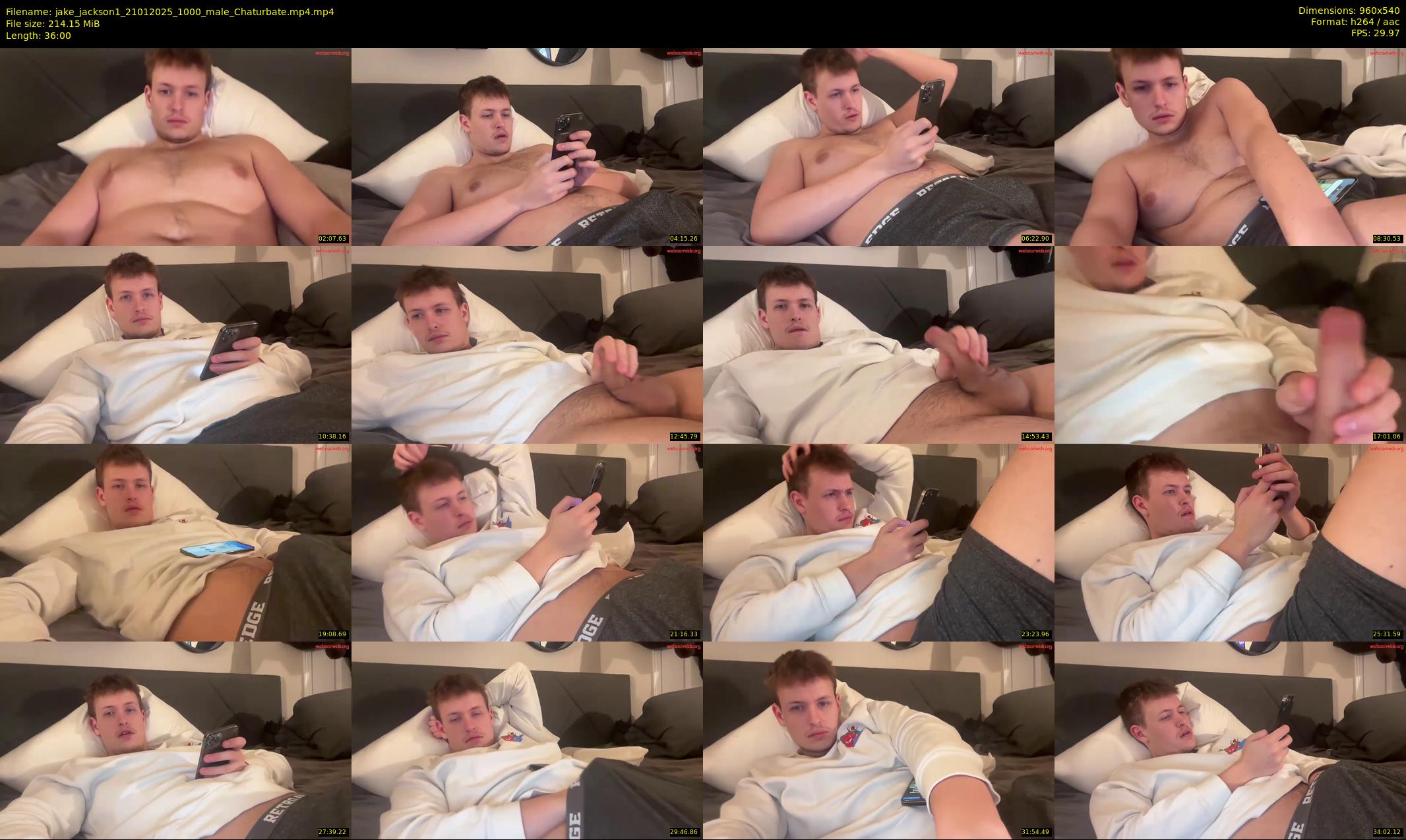 jake_jackson1 — 36 minute Chaturbate male cam show recording, 480p, Jan 21, 2025