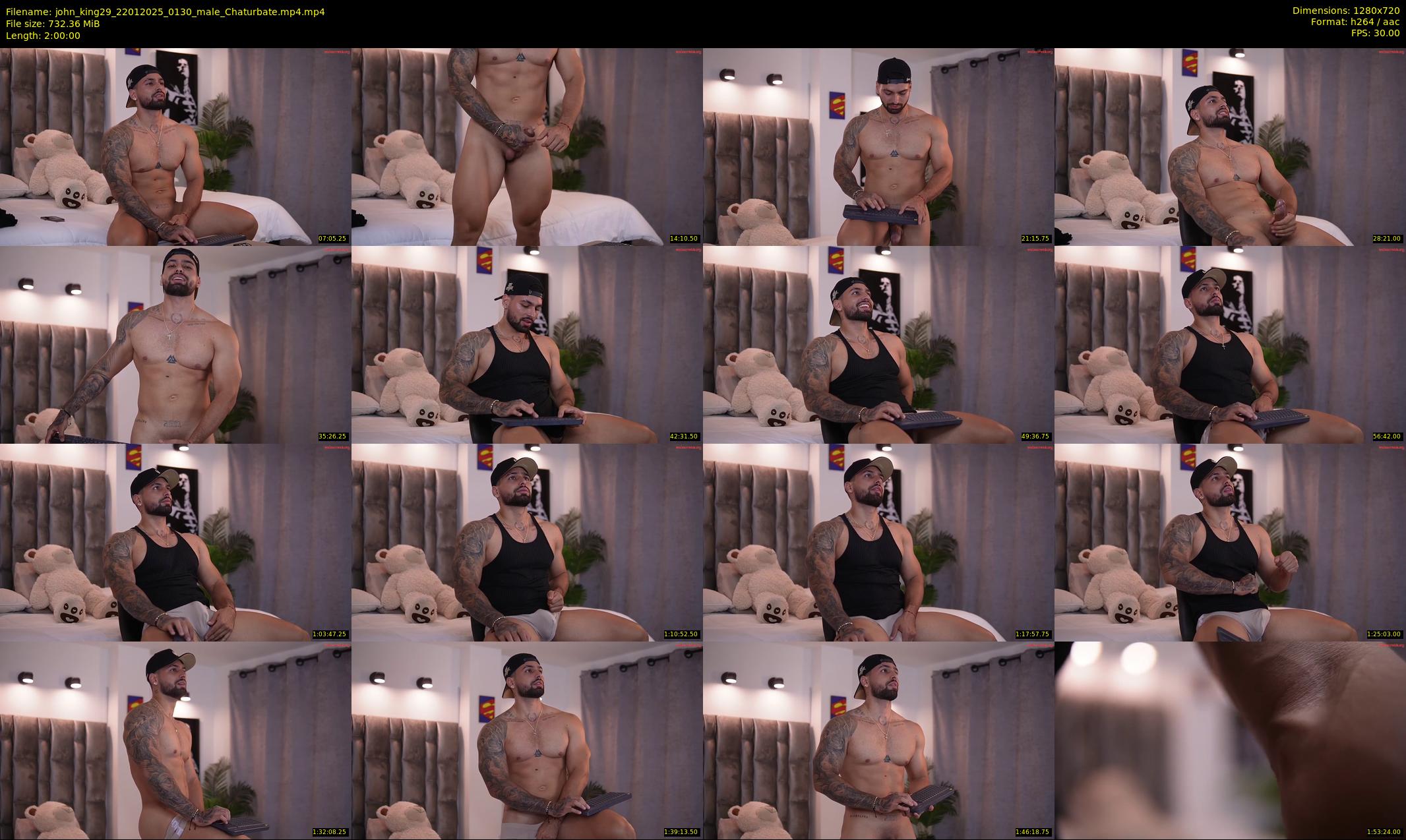 john_king29 — 120 minute Chaturbate male cam show recording, 720p, Jan 22, 2025