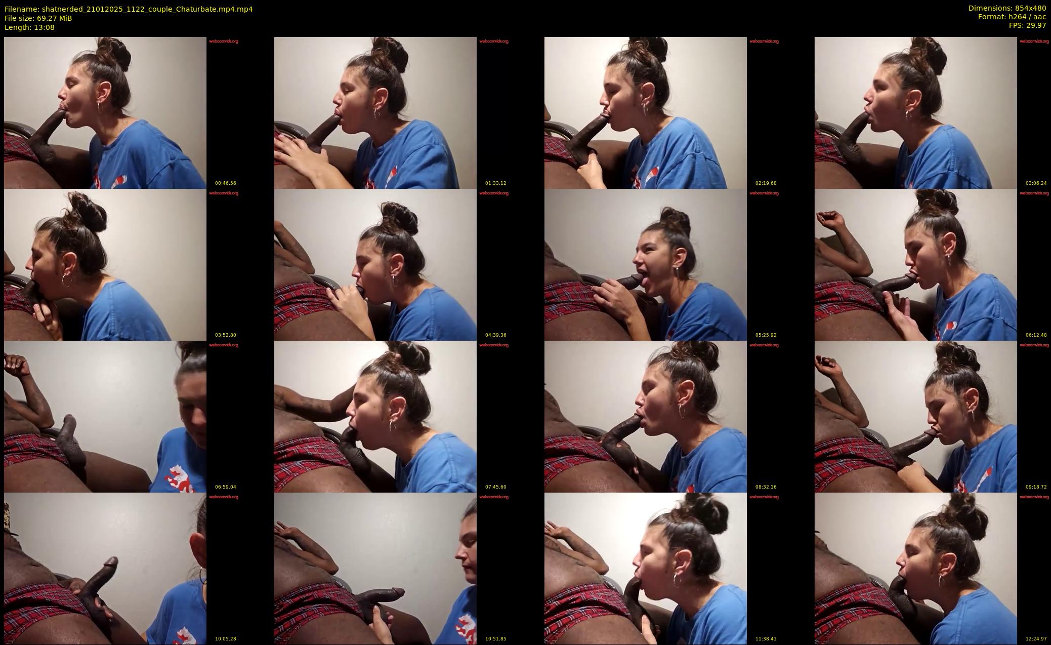 shatnerded — 14 minute Chaturbate couple cam show recording, 480p, Jan 21, 2025