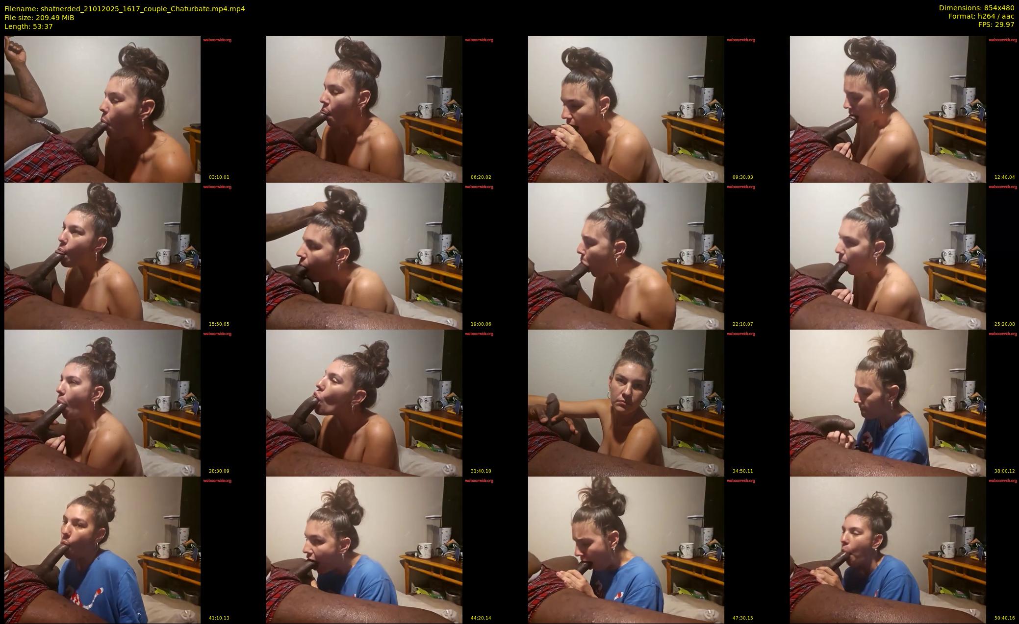 shatnerded — 54 minute Chaturbate couple cam show recording, 480p, Jan 21, 2025