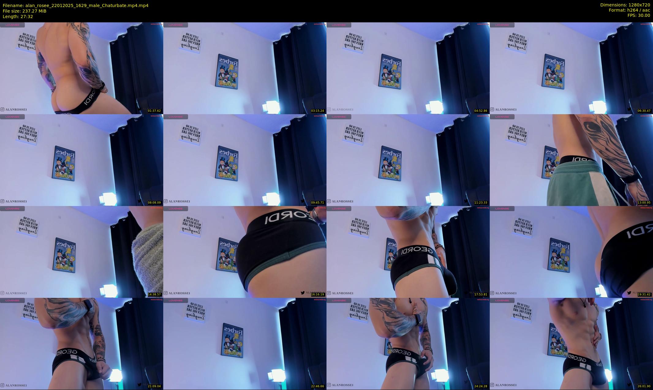alan_rosee — 28 minute Chaturbate male cam show recording, 720p, Jan 22, 2025