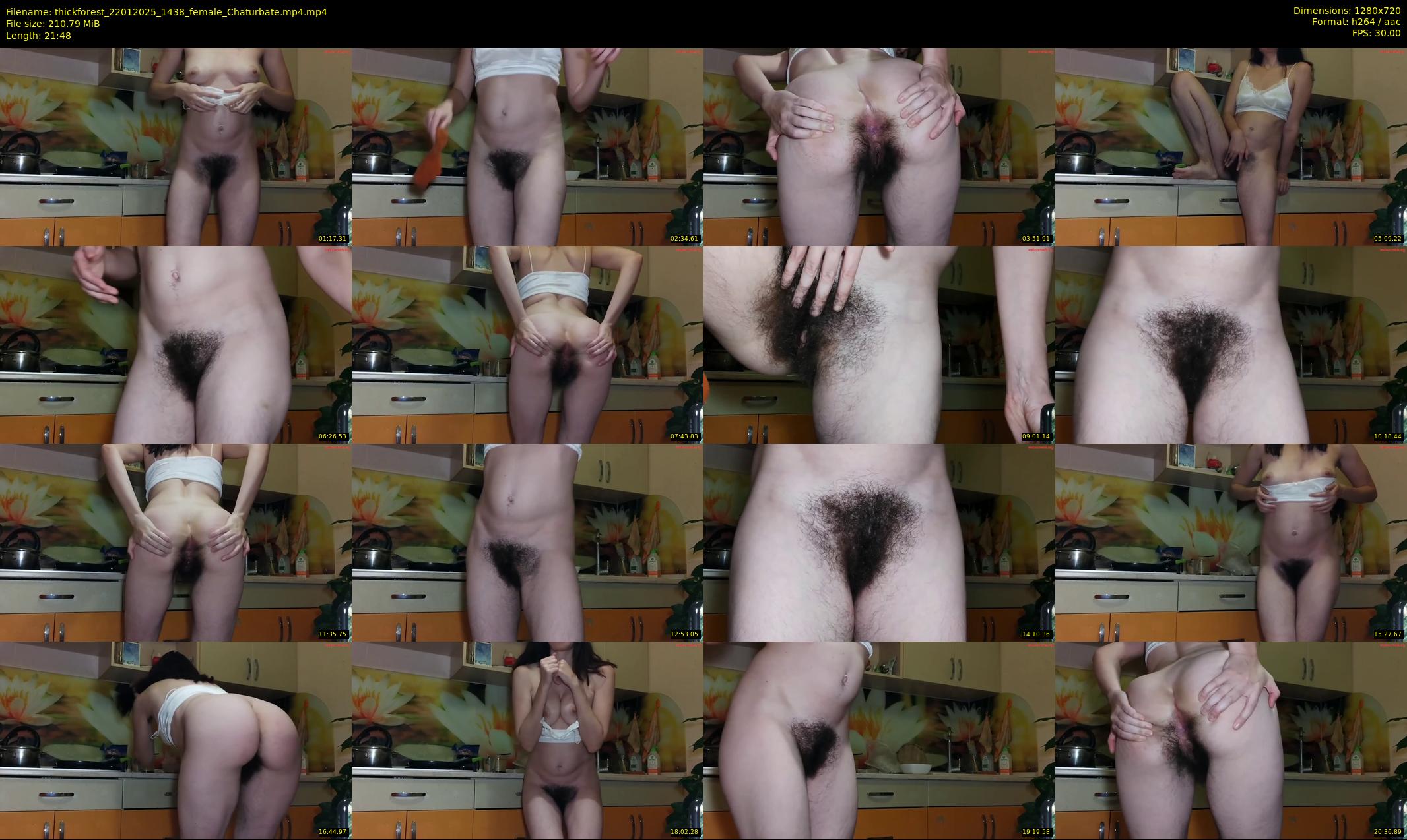 thickforest — 22 minute Chaturbate female cam show recording, 720p, Jan 22, 2025