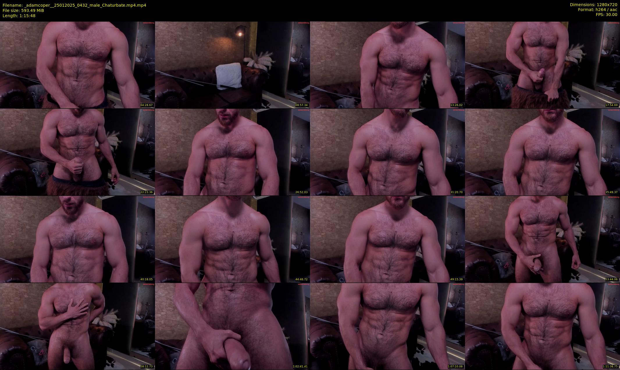 _adamcoper_ — 76 minute Chaturbate male cam show recording, 720p, Jan 25, 2025