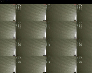 a_whole_eternity — 12 minute Chaturbate female cam show recording, 720p, Jan 22, 2025