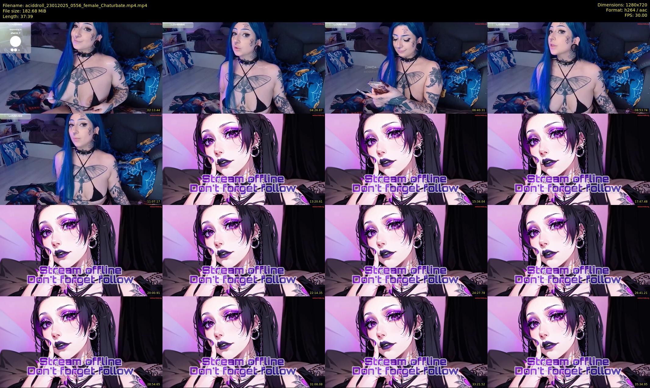 aciddroll — 38 minute Chaturbate female cam show recording, 720p, Jan 23, 2025