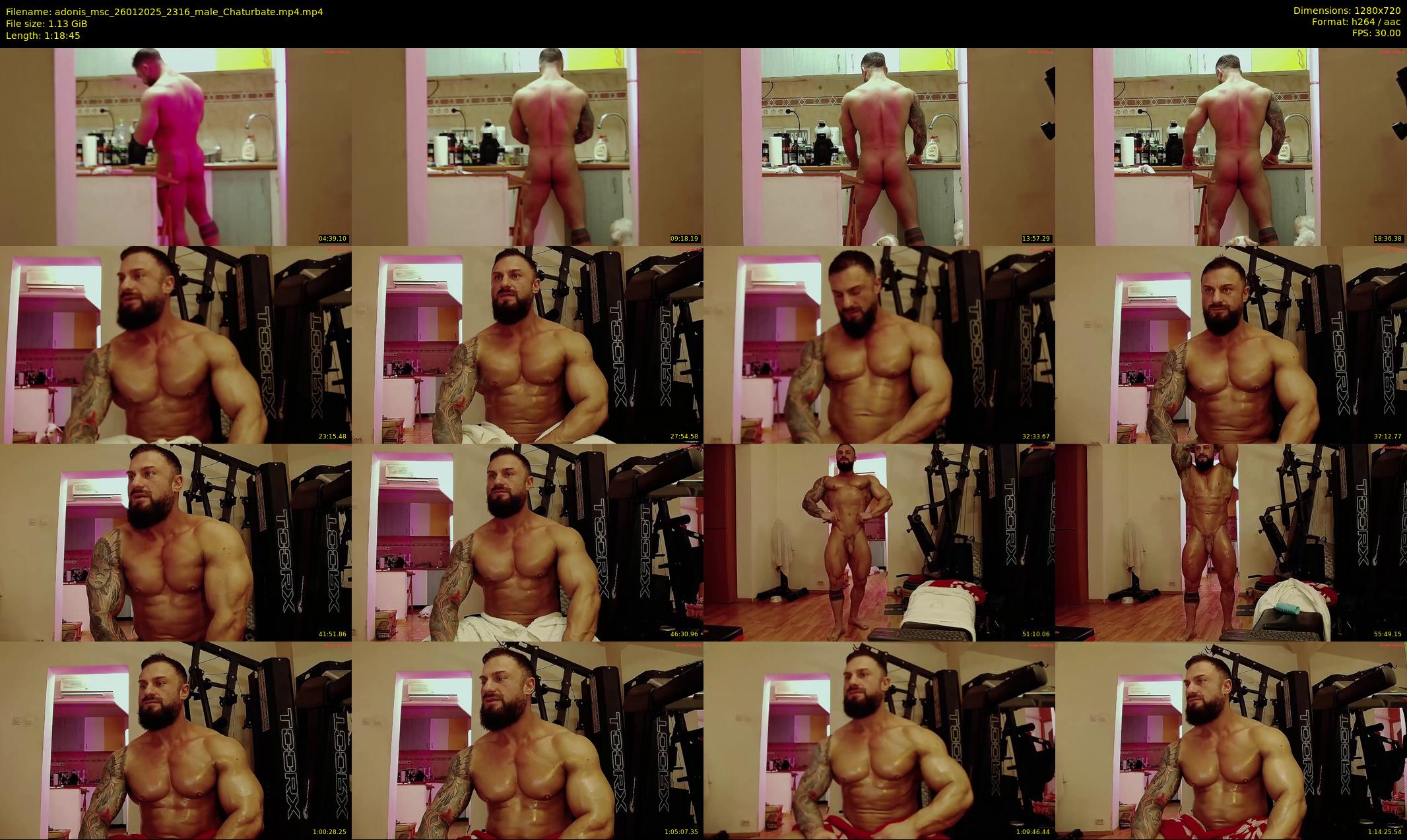 adonis_msc — 79 minute Chaturbate male cam show recording, 720p, Jan 26, 2025