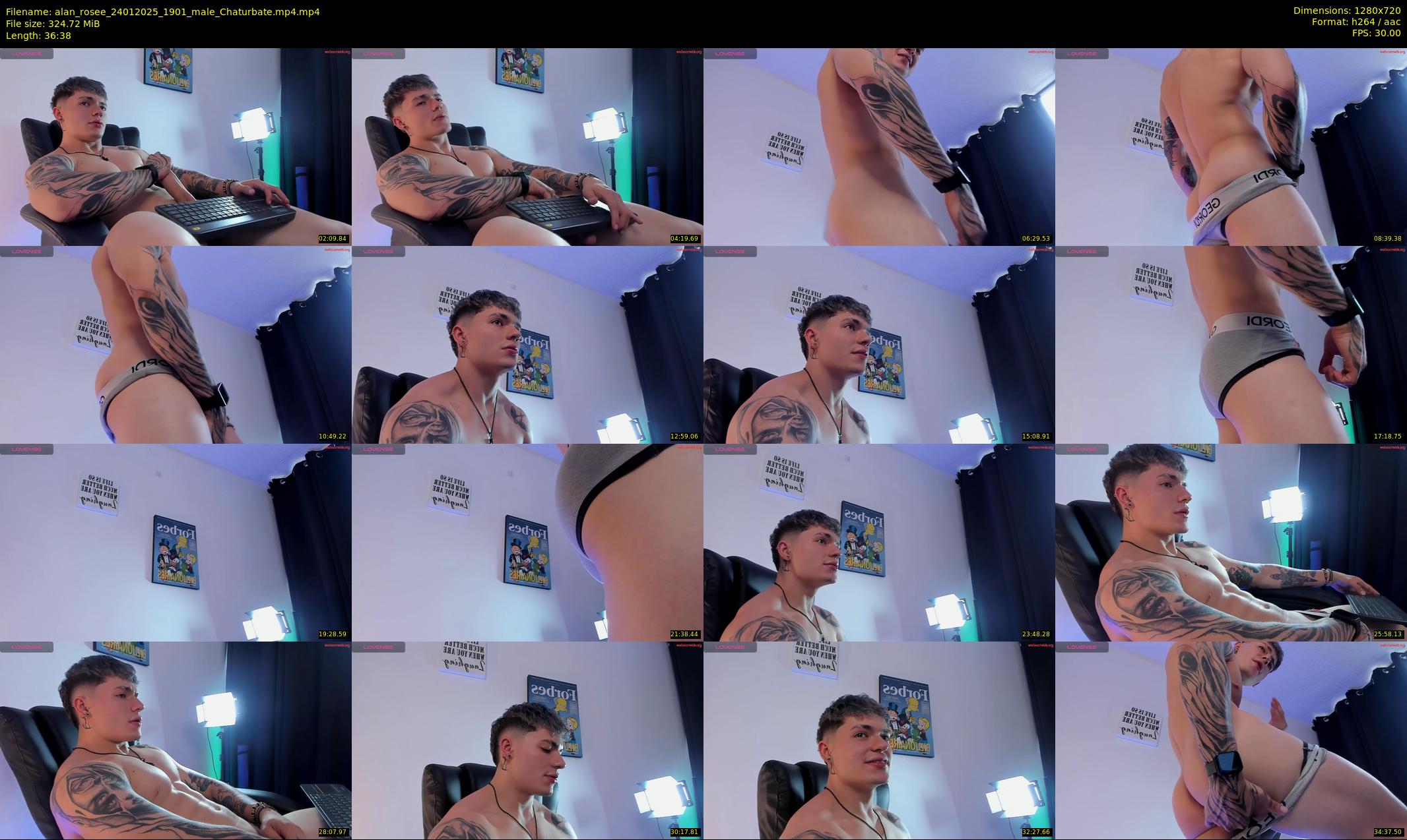 alan_rosee — 37 minute Chaturbate male cam show recording, 720p, Jan 24, 2025