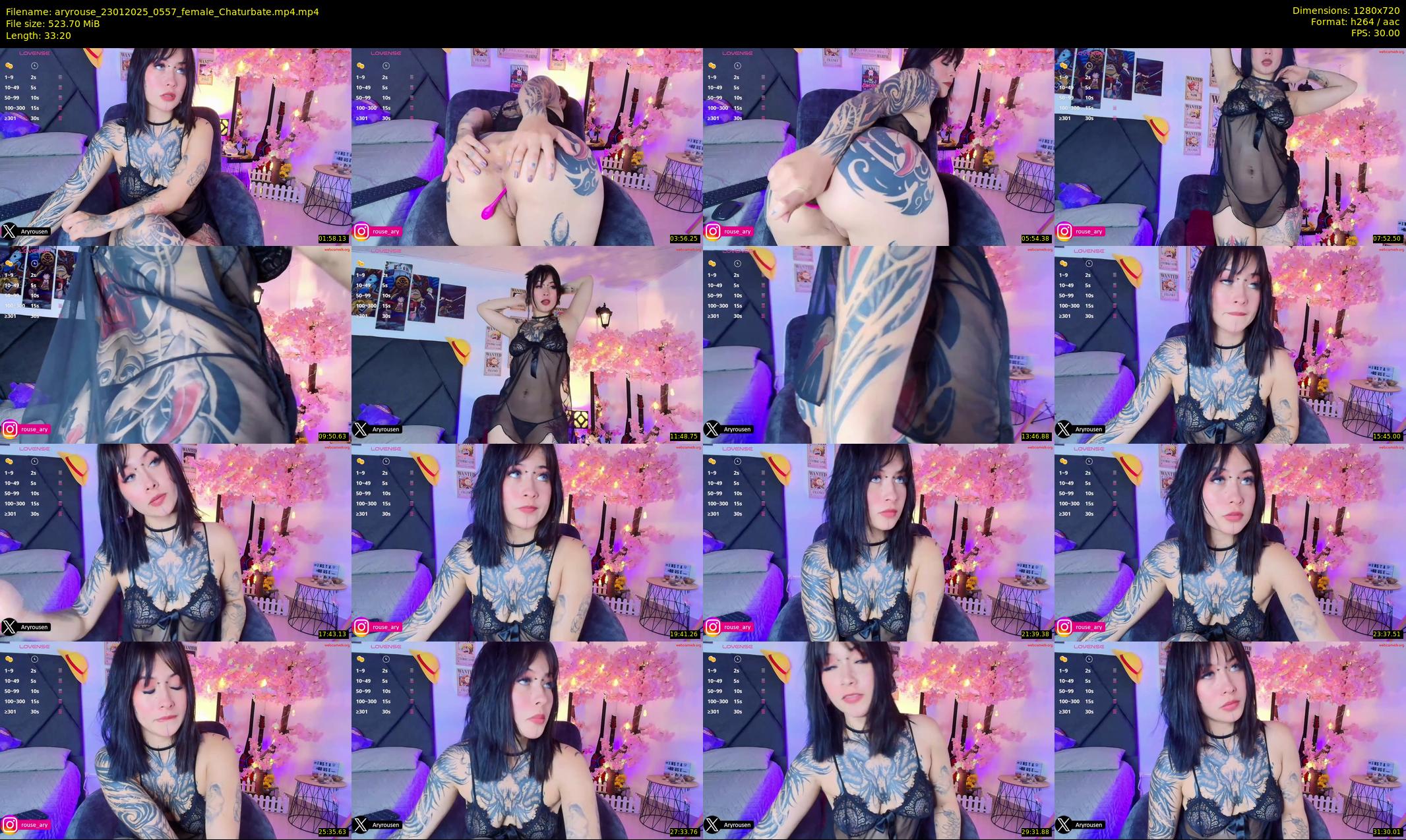 aryrouse — 34 minute Chaturbate female cam show recording, 720p, Jan 23, 2025