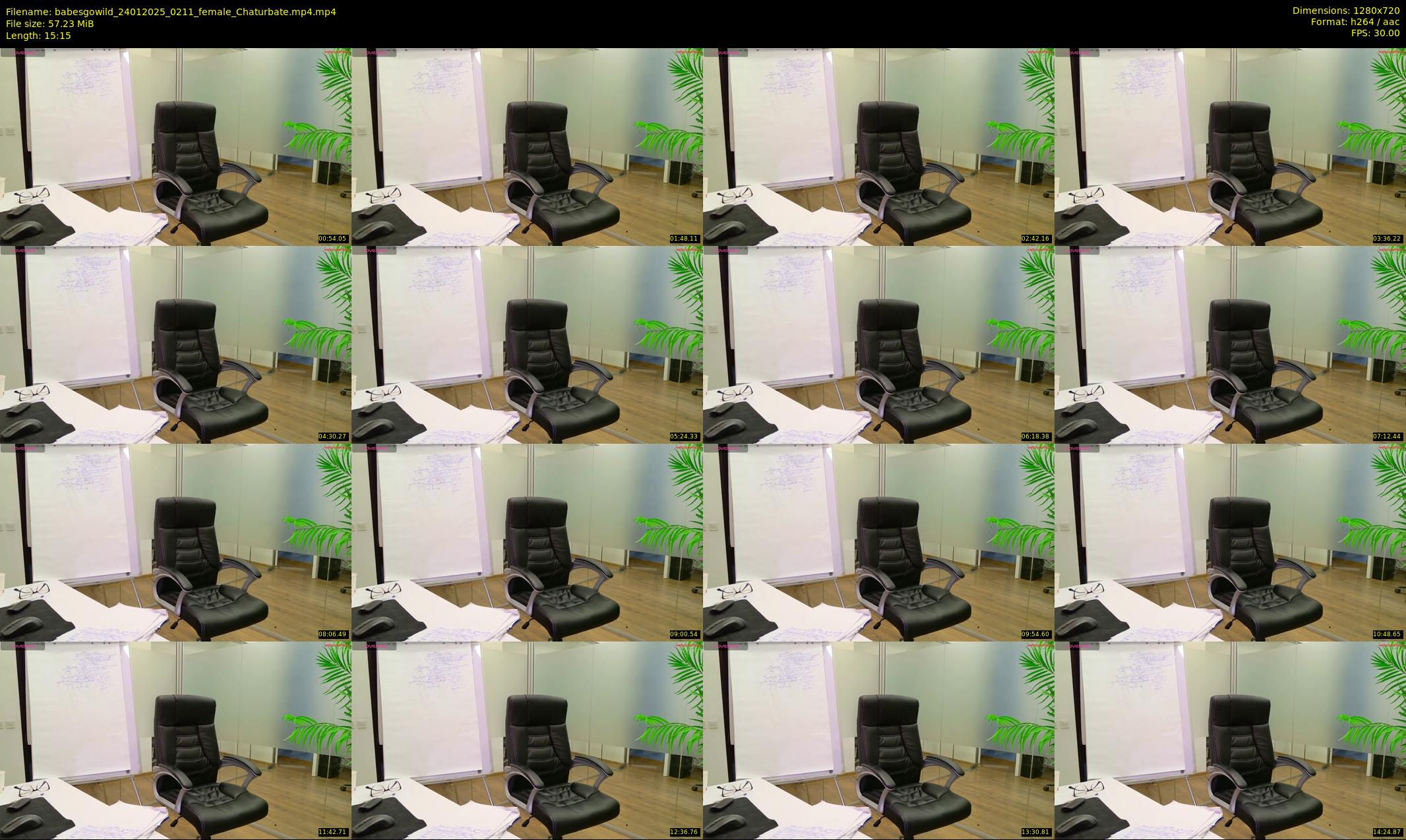 babesgowild — 16 minute Chaturbate couple cam show recording, 720p, Jan 24, 2025
