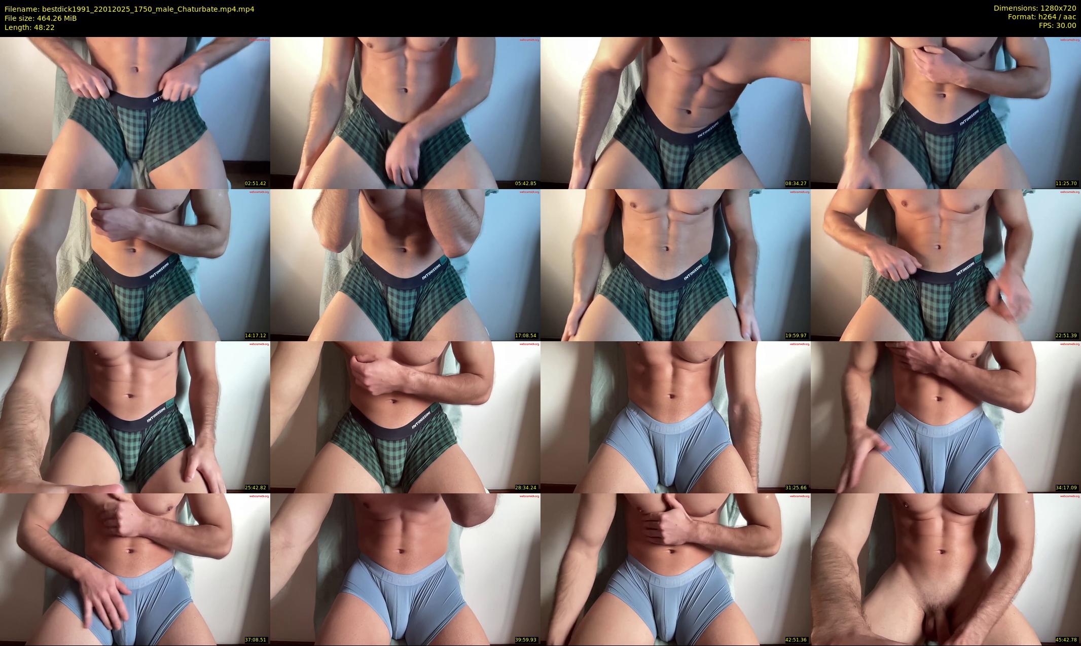 bestdick1991 — 49 minute Chaturbate male cam show recording, 720p, Jan 22, 2025