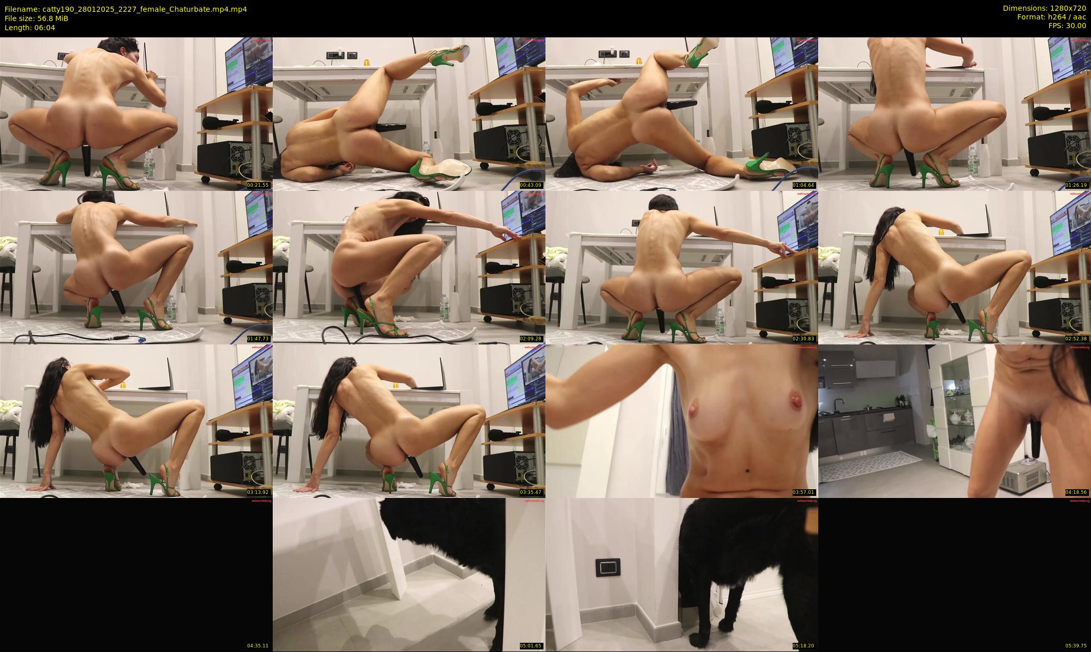 catty190 — 7 minute Chaturbate female cam show recording, 720p, Jan 28, 2025