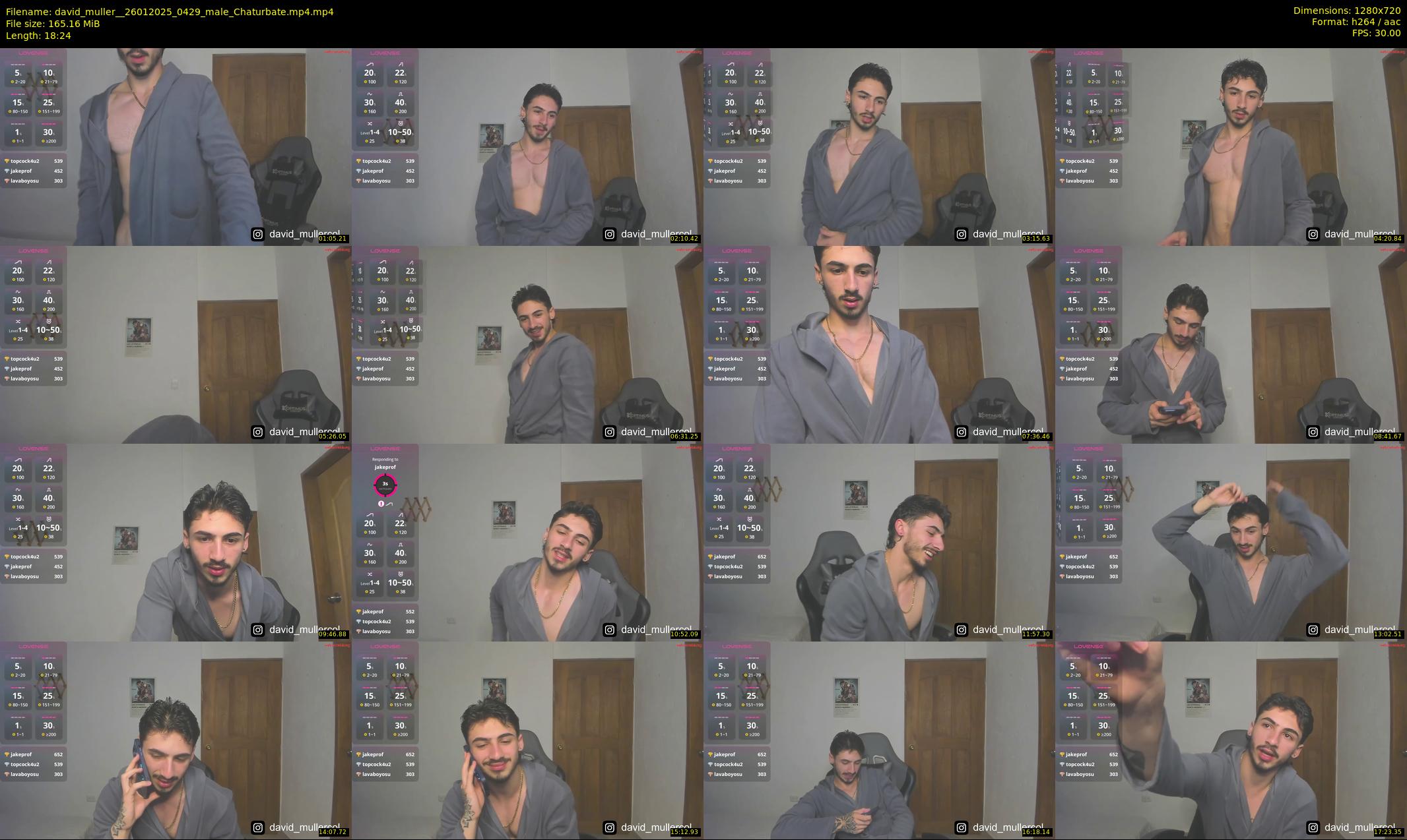 david_muller_ — 19 minute Chaturbate male cam show recording, 720p, Jan 26, 2025