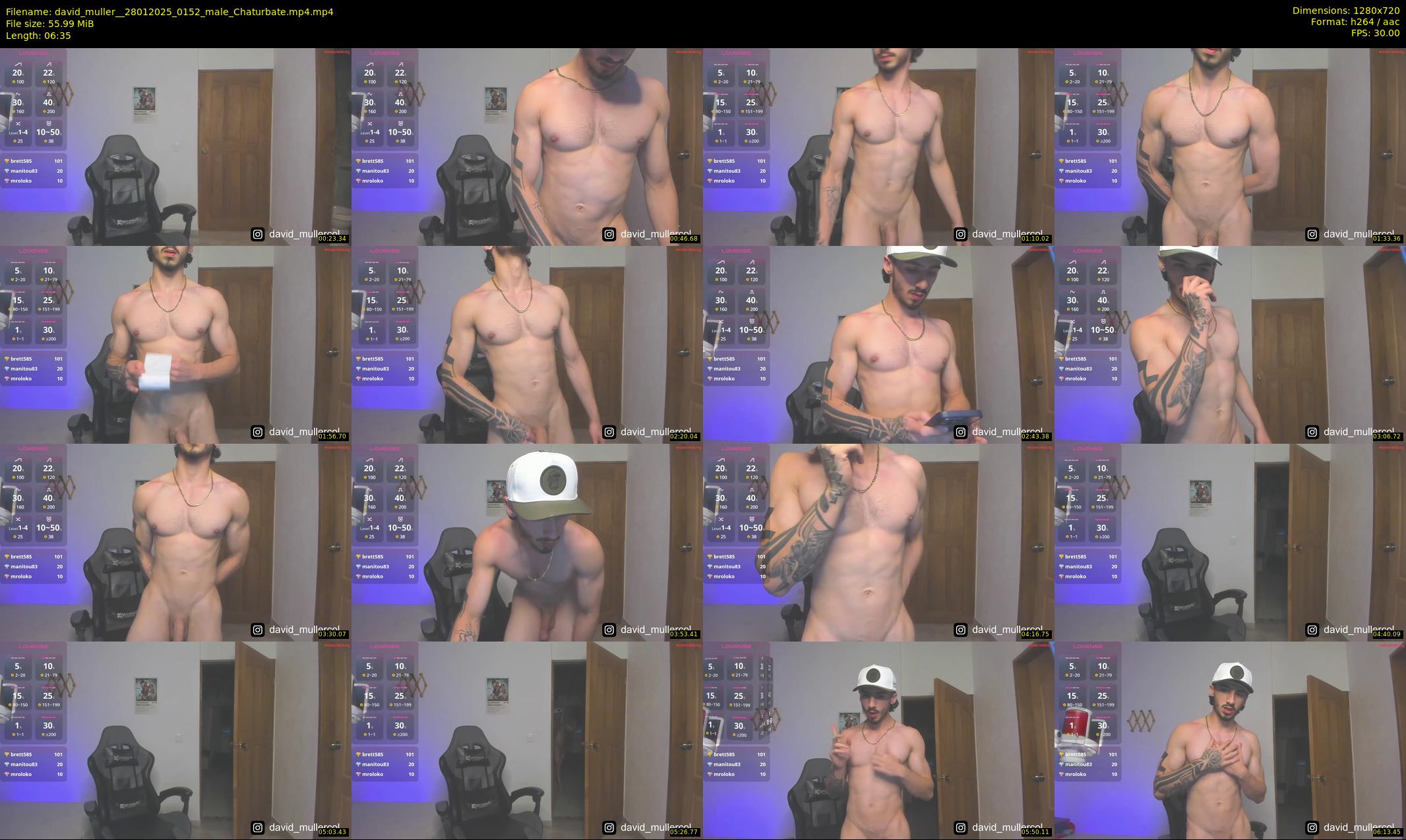 david_muller_ — 7 minute Chaturbate male cam show recording, 720p, Jan 28, 2025