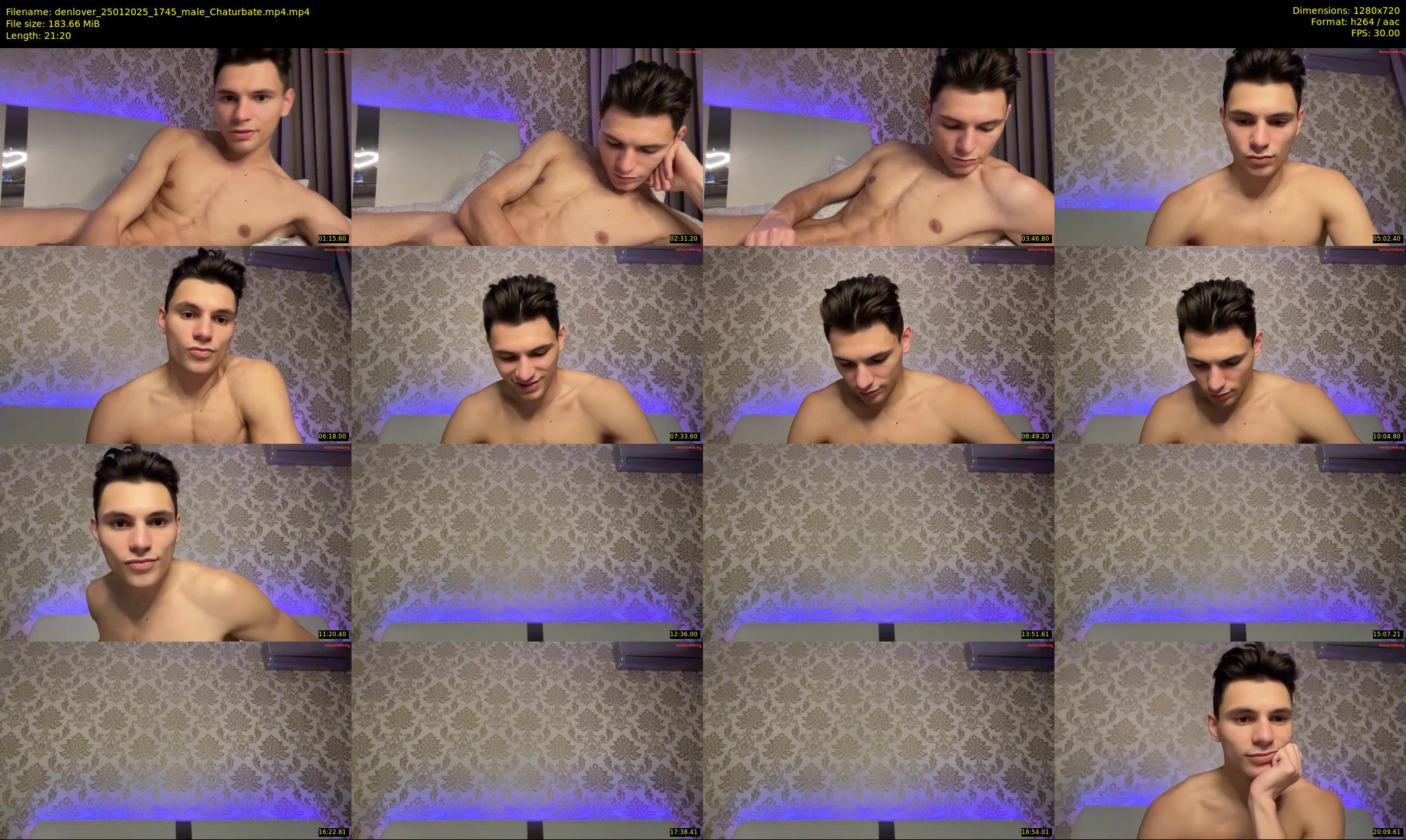 denlover — 22 minute Chaturbate male cam show recording, 720p, Jan 25, 2025